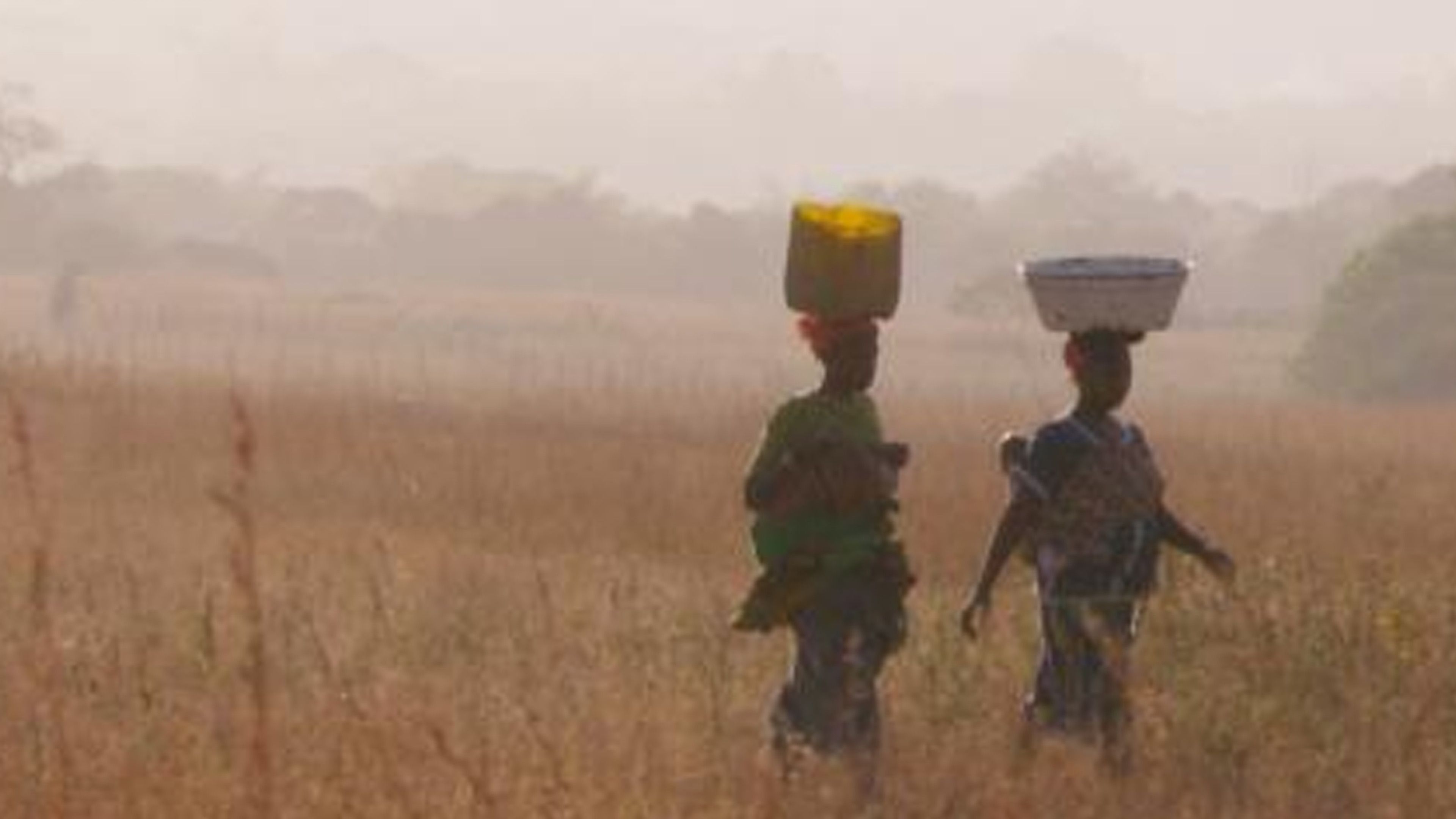 Lessons Learned From The 2014 Ebola Outbreak