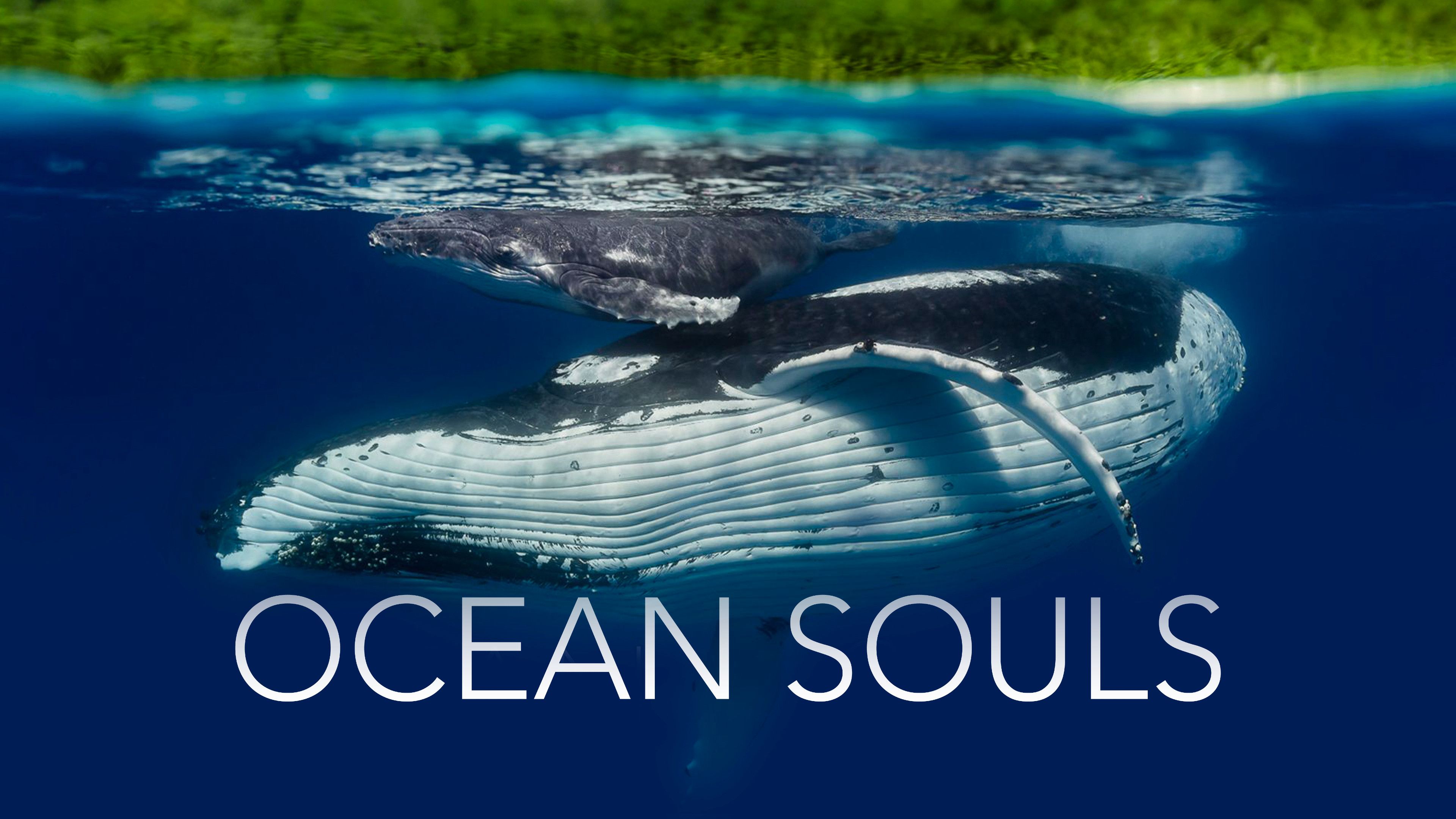 Ocean Souls