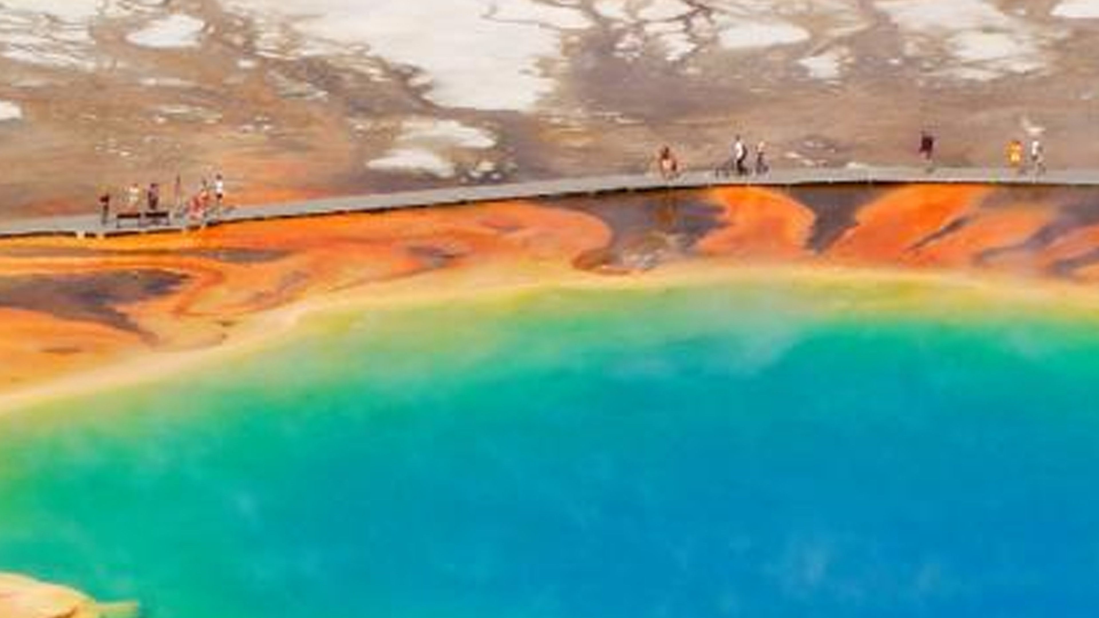 Does Space Have Extremophiles?