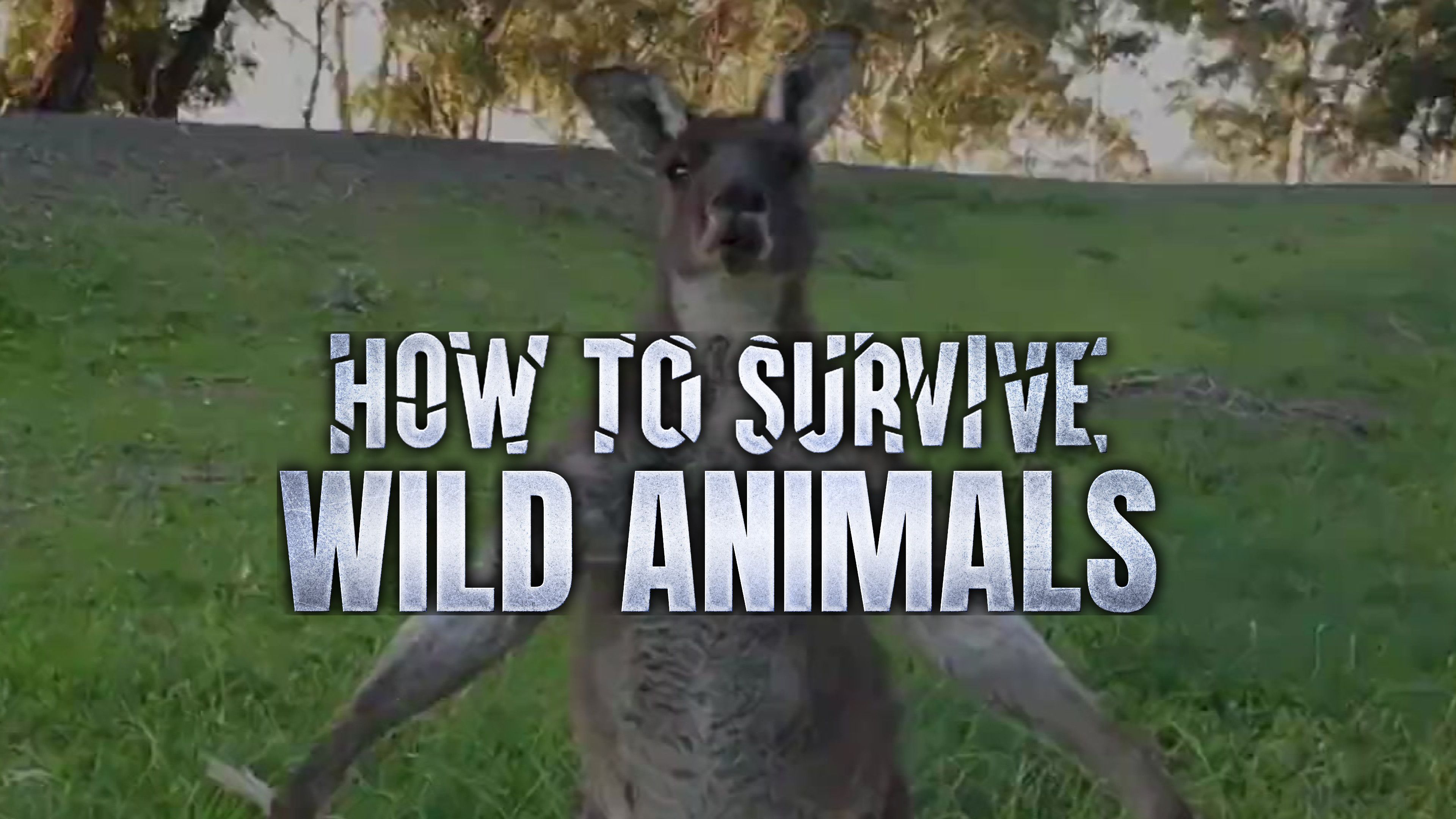 Deadly Down Under