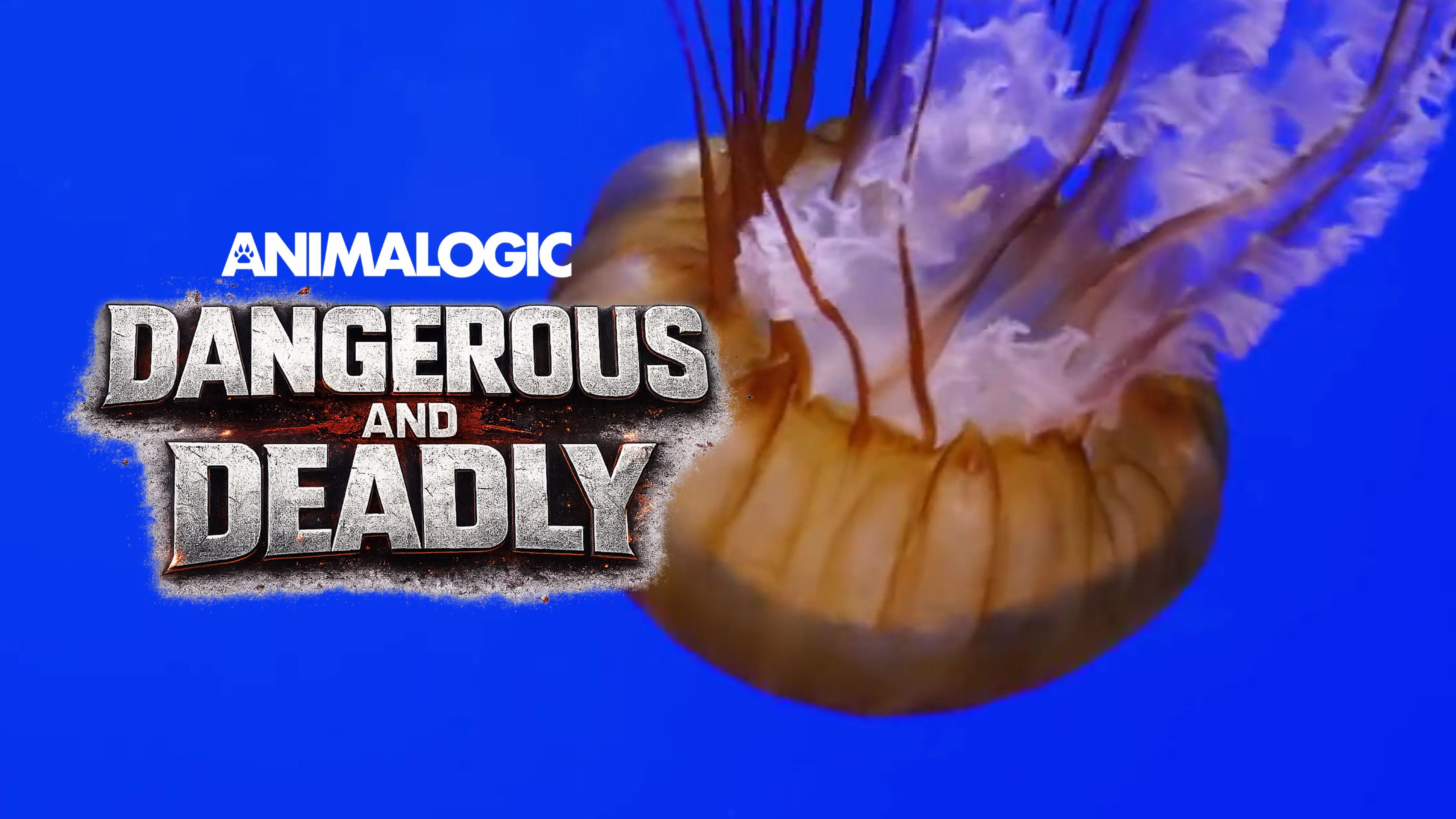 Deadly and Destructive Organisms