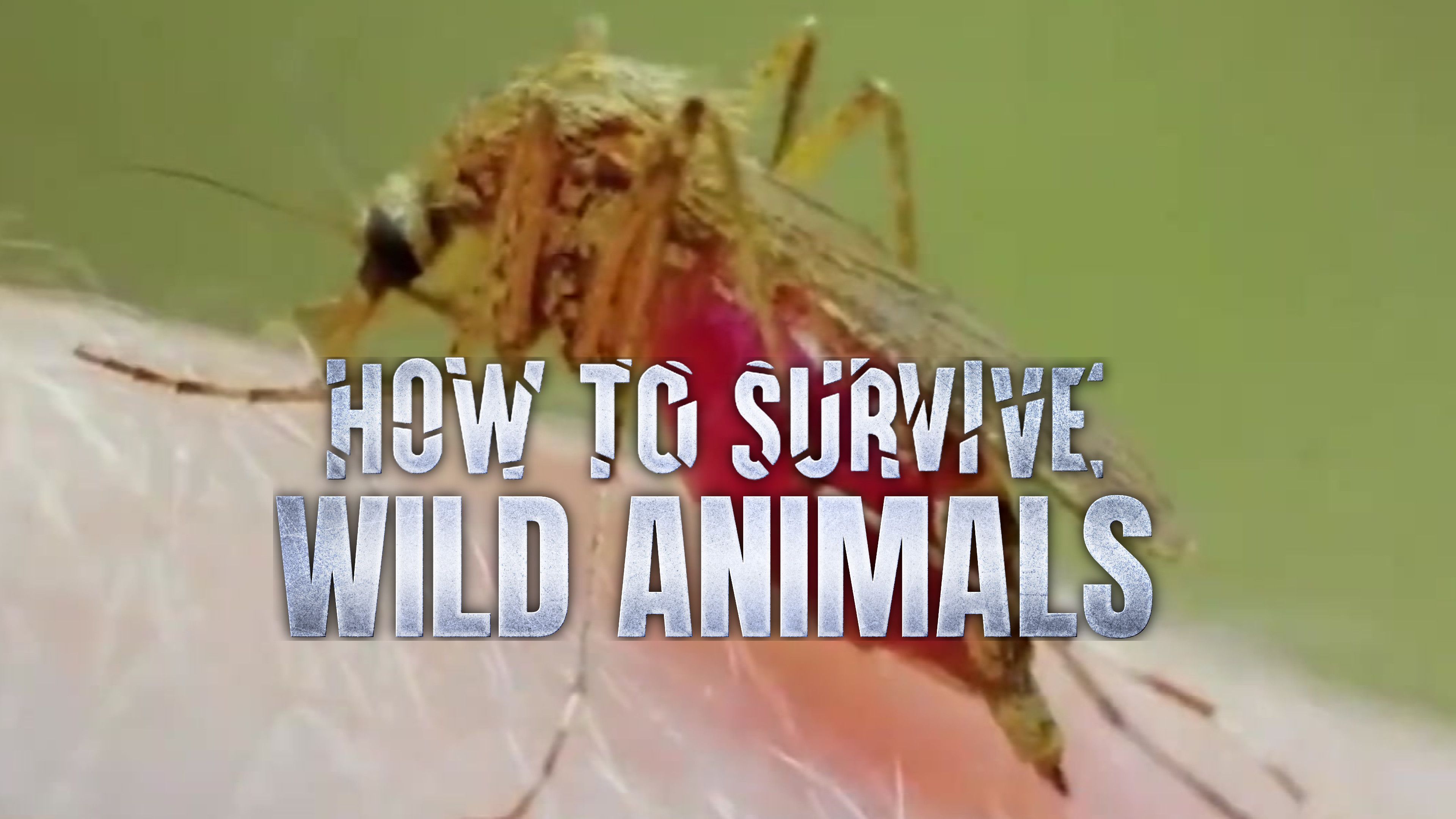 Predators and Pests