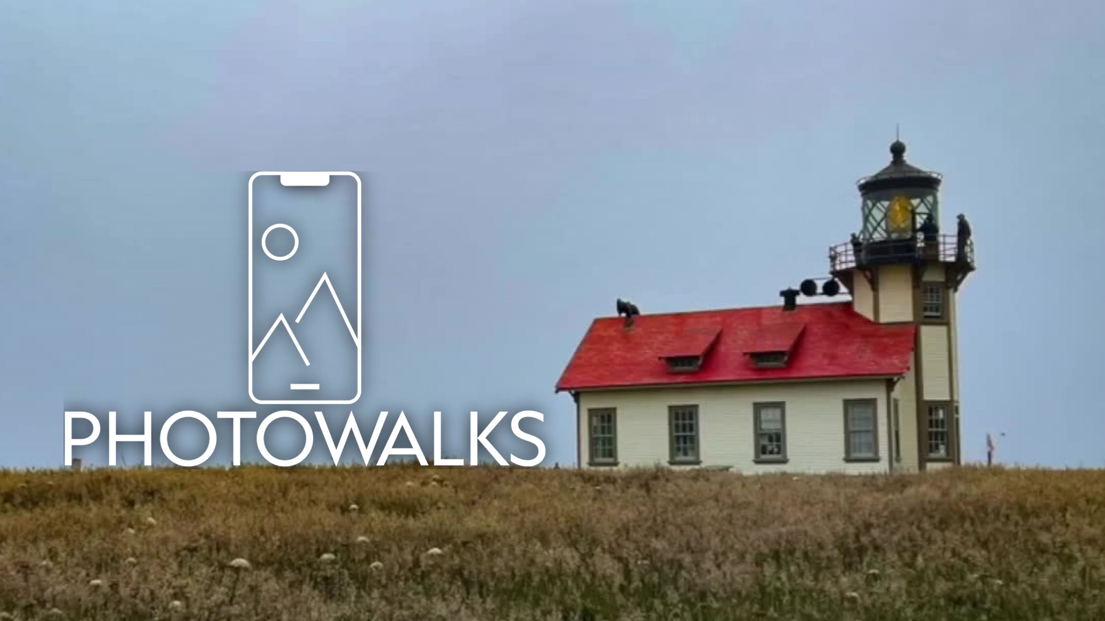 Backroads: San Francisco's Hidden Gems