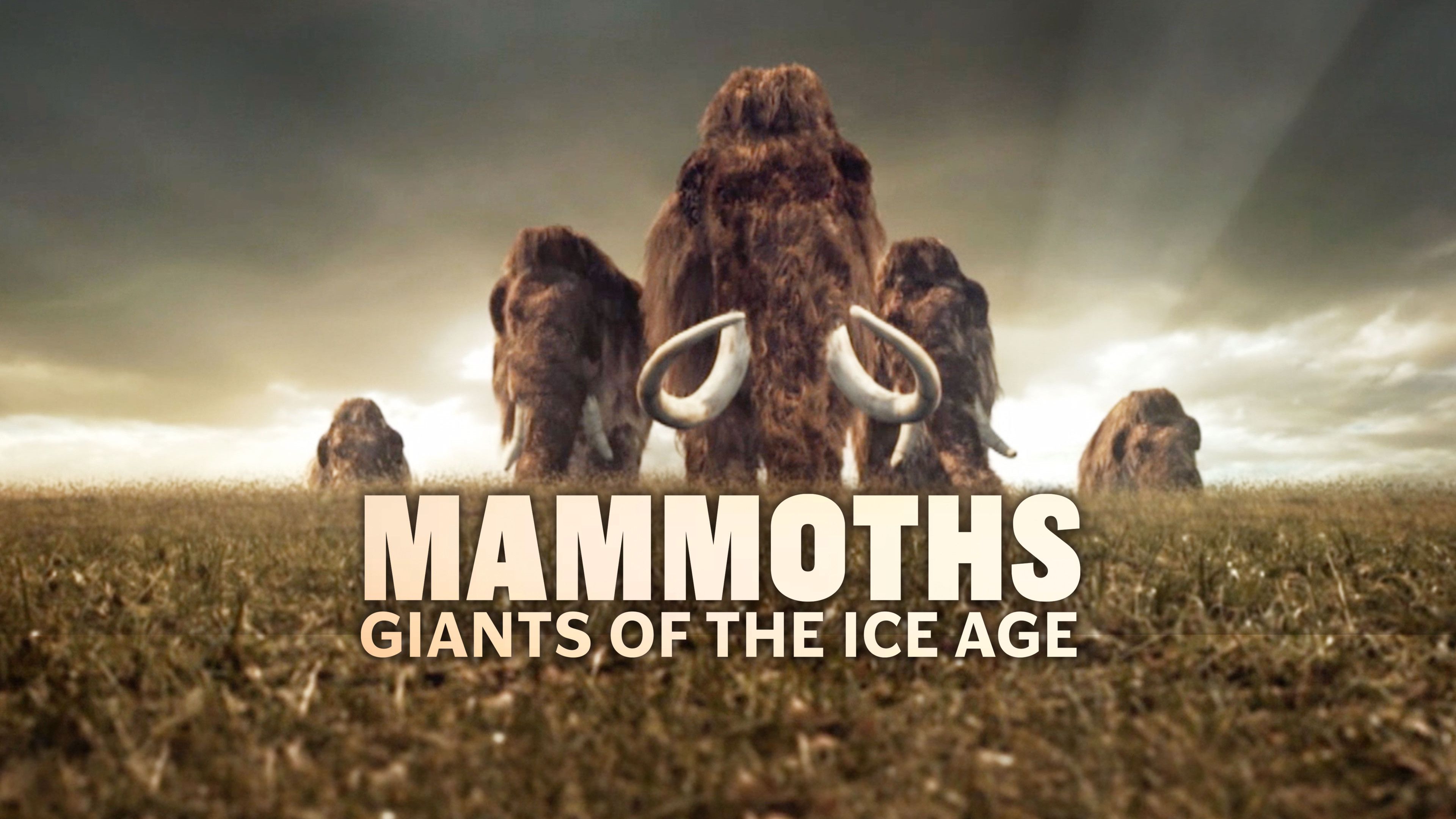 Curiosity Stream Mammoths Giants Of The Ice Age