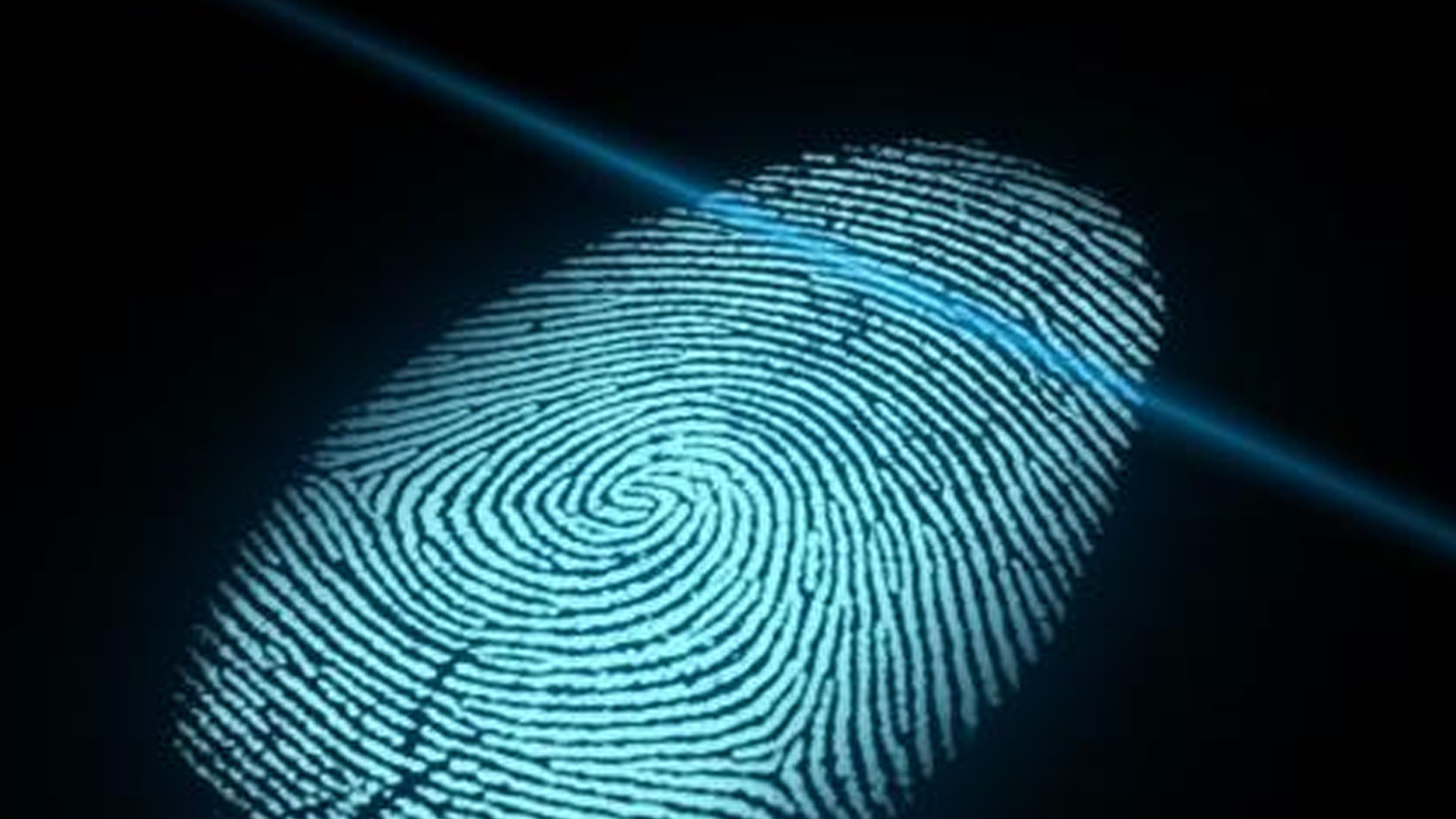 Balancing Privacy and National Security