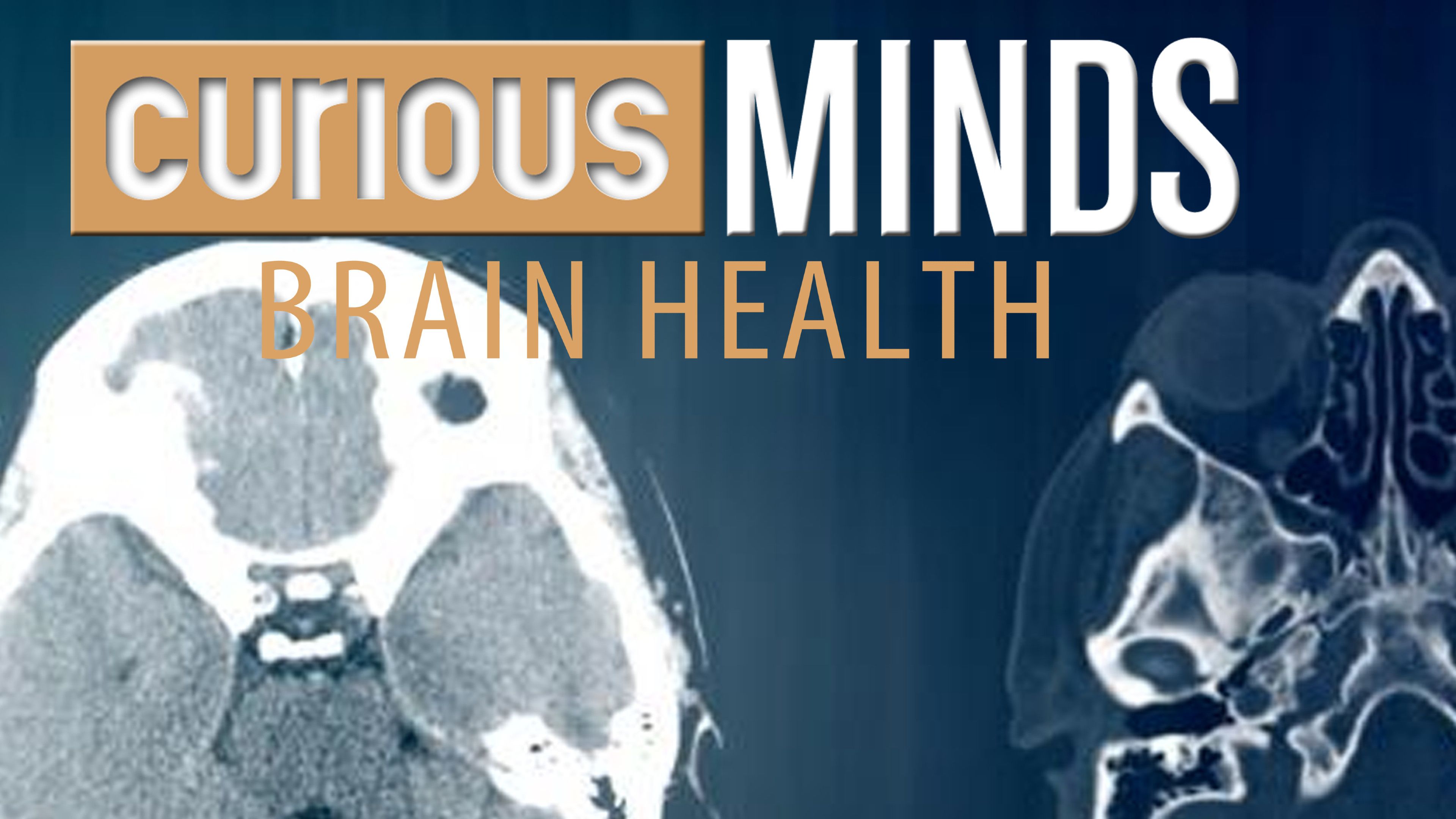 What's The Difference Between Alzheimer's And Dementia?