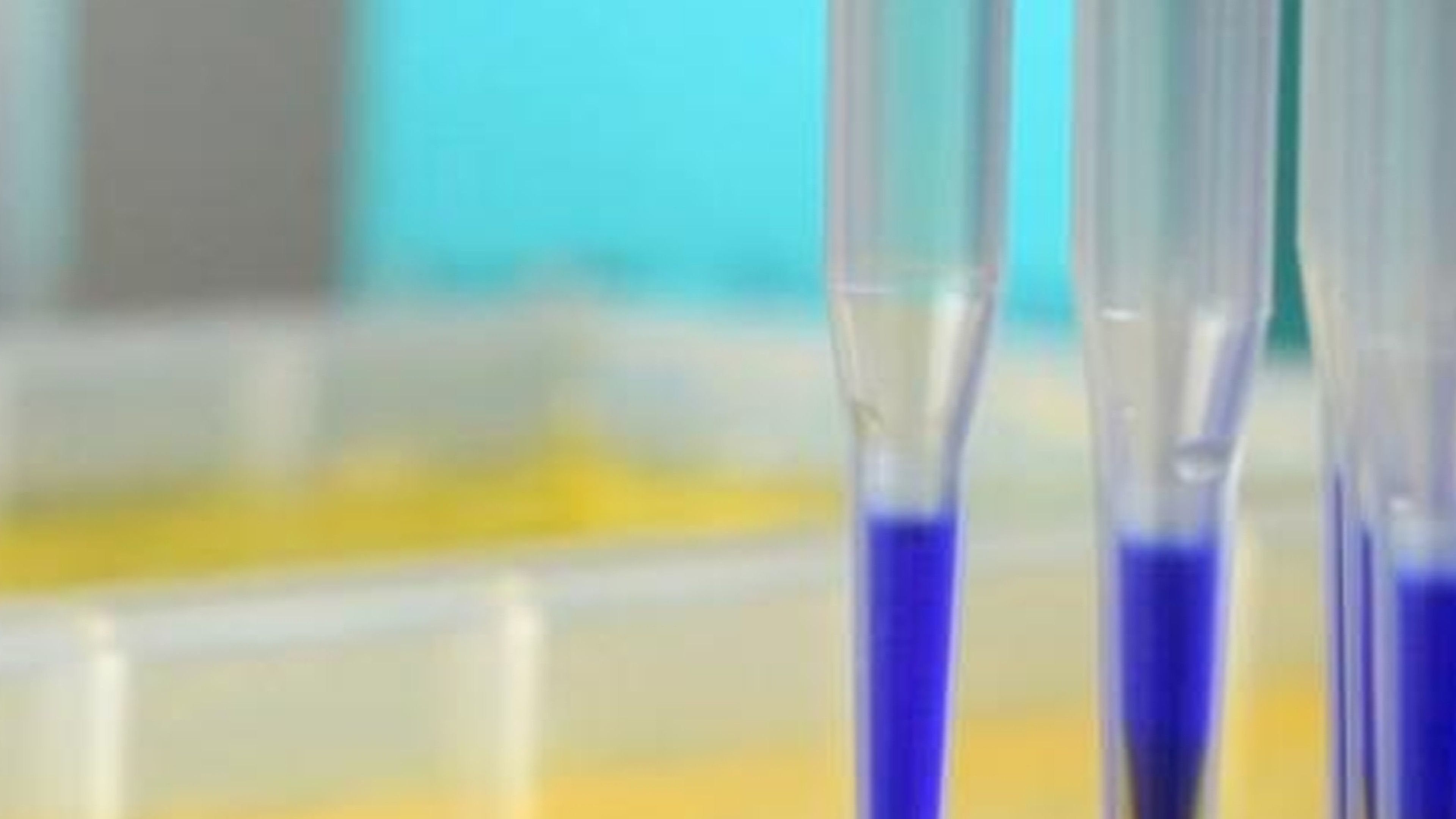 Are There Drugs To Prevent Alzheimer's?