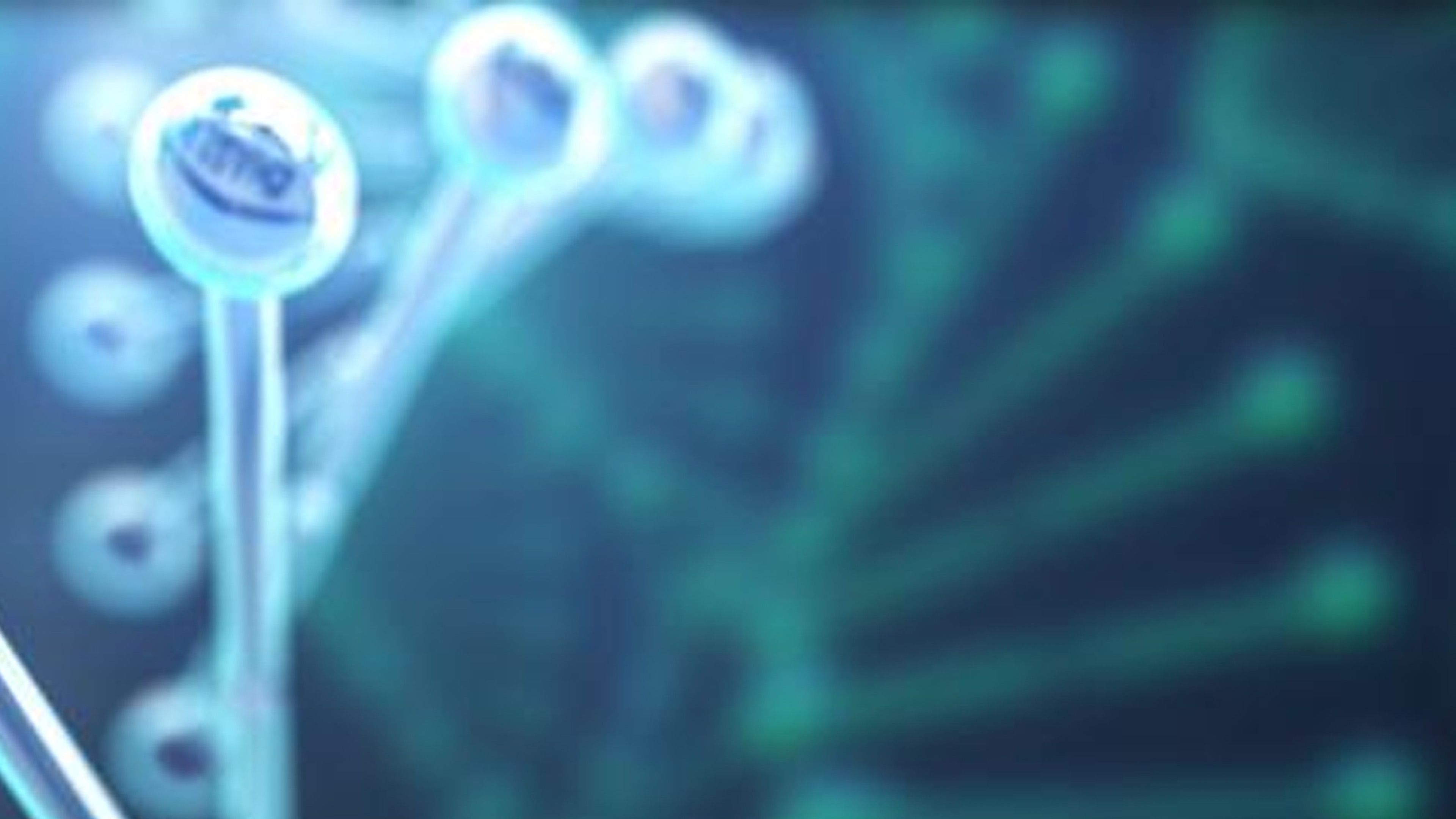 Do Genes Determine Alzheimer's?