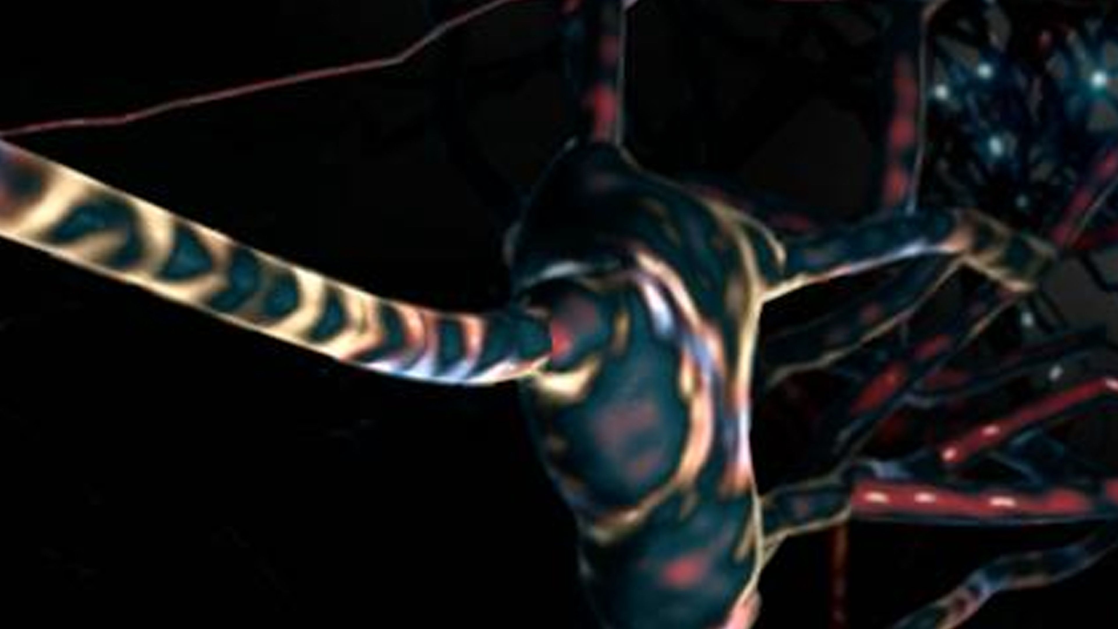 What Is Still Unknown About The Brain?