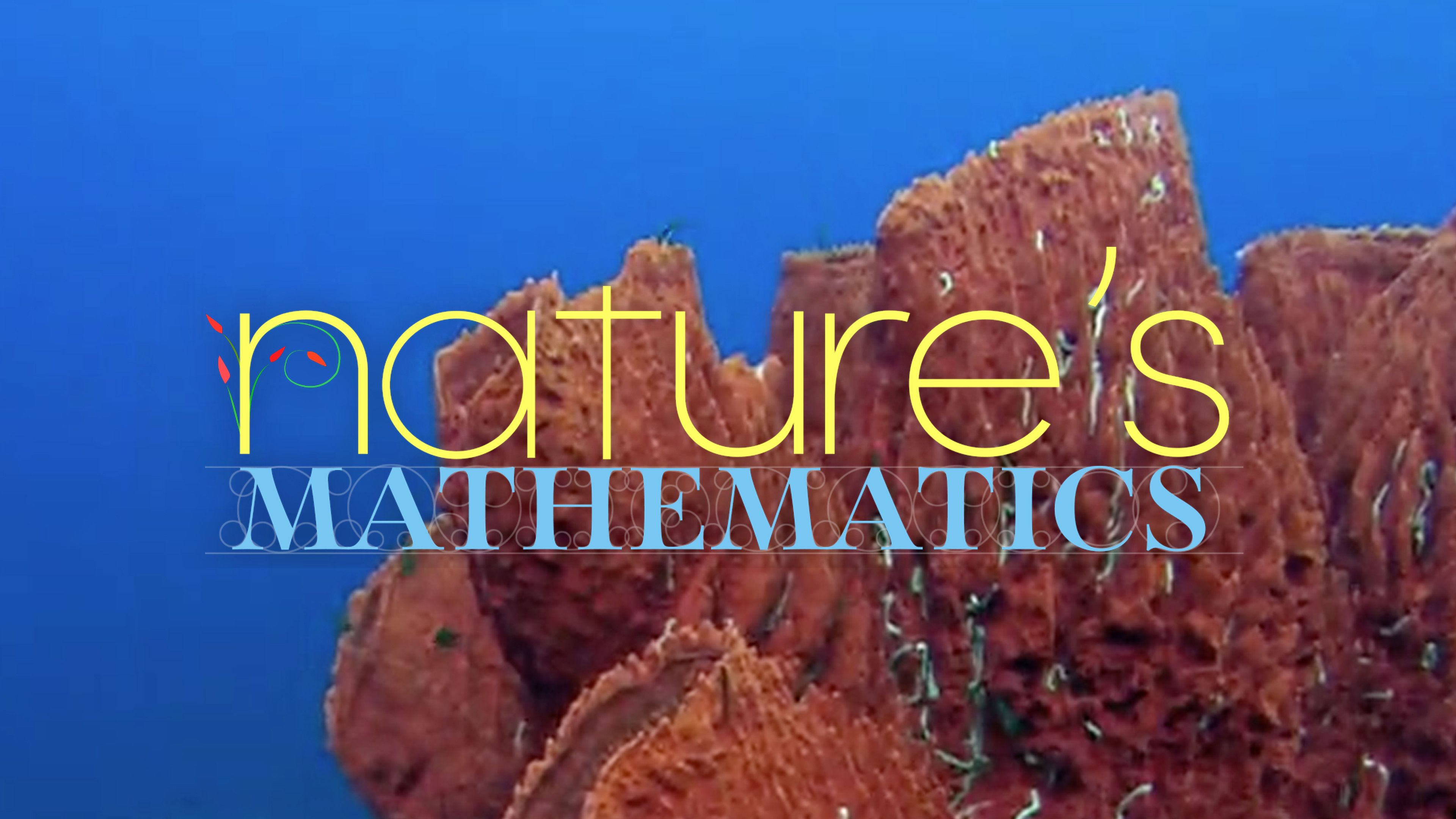 Nature's Mathematics: Episode 1