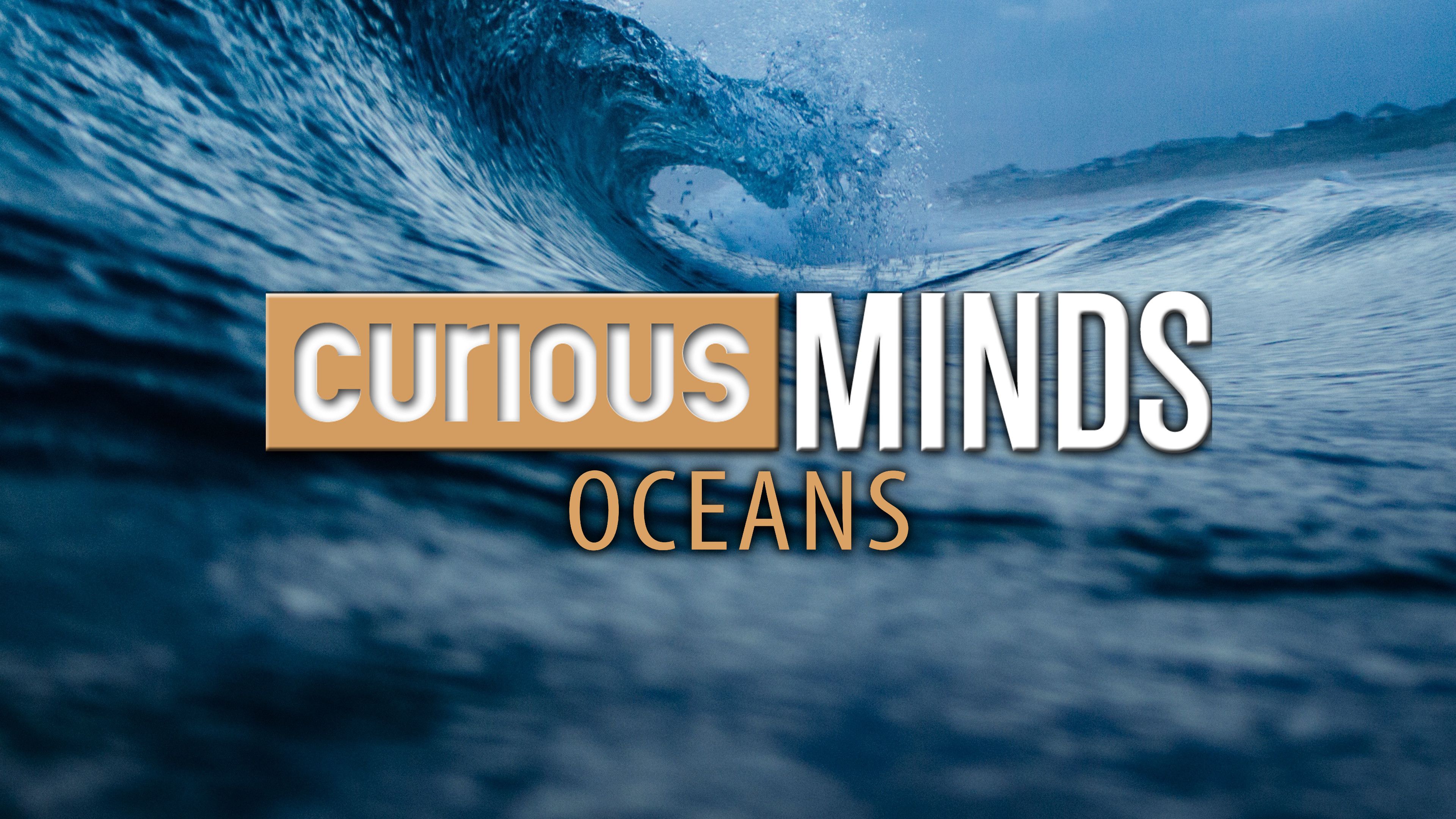 Curious Minds: Oceans
