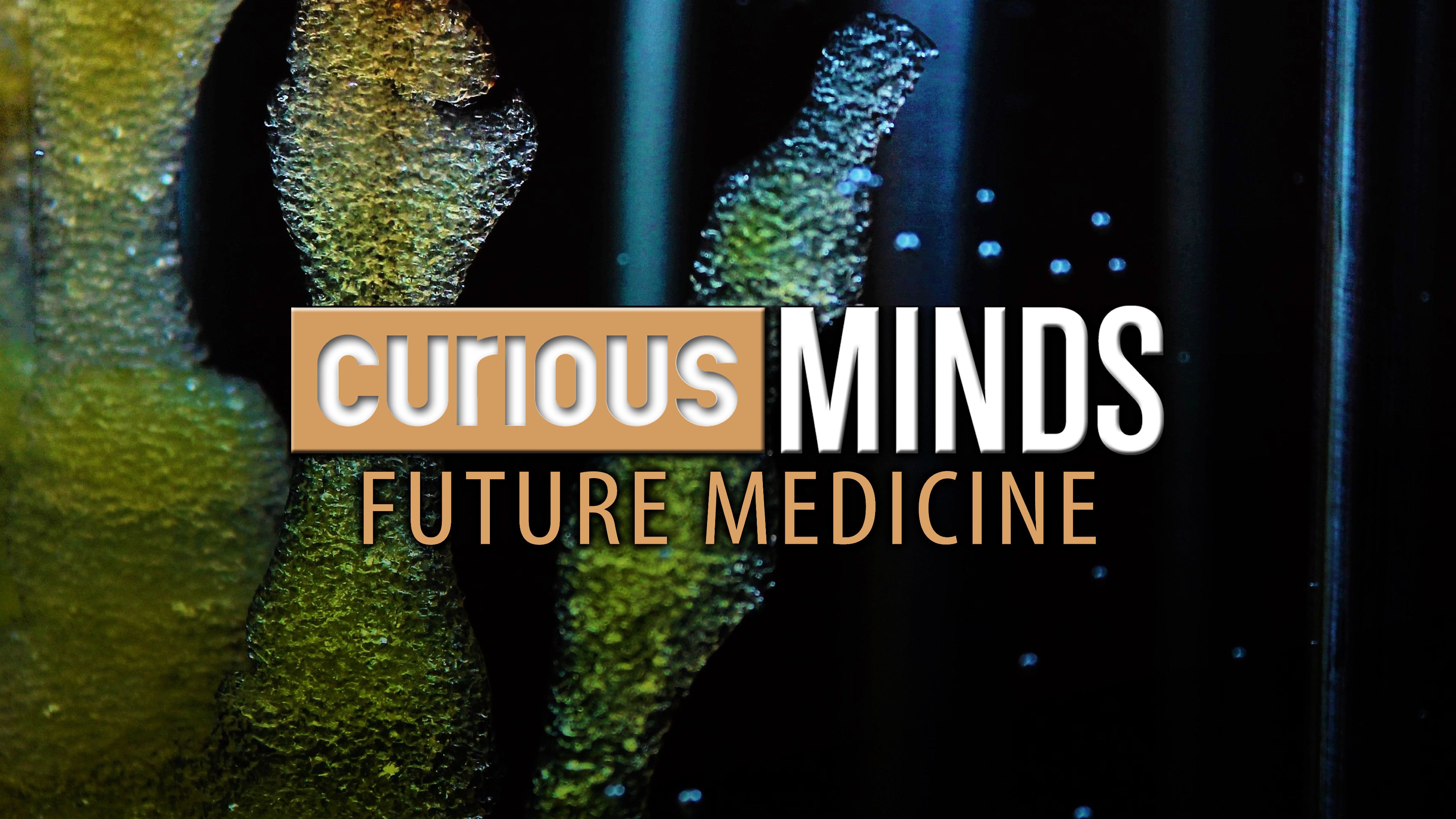 Curious Minds: Future Medicine