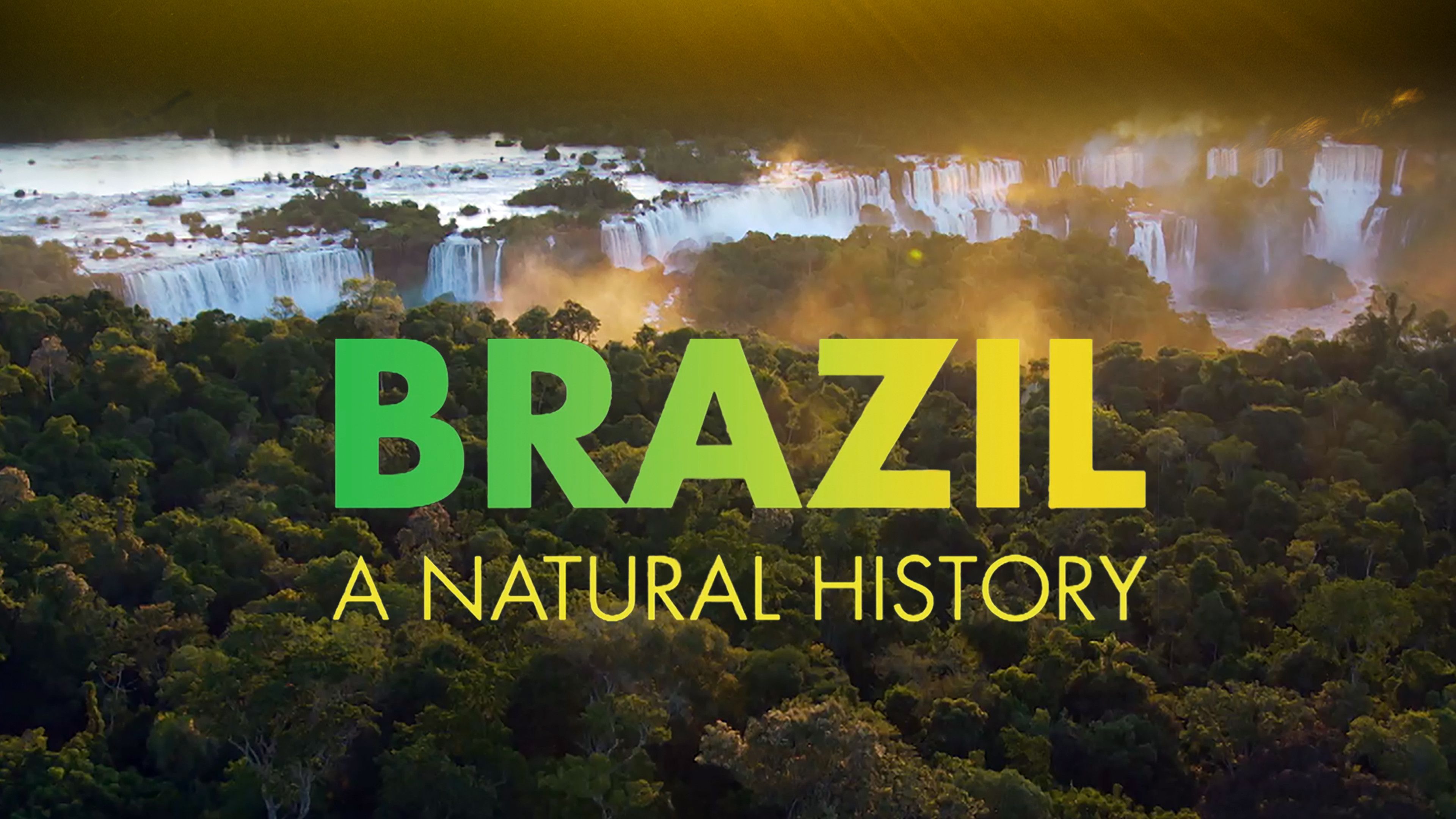 Brazil - A Natural History