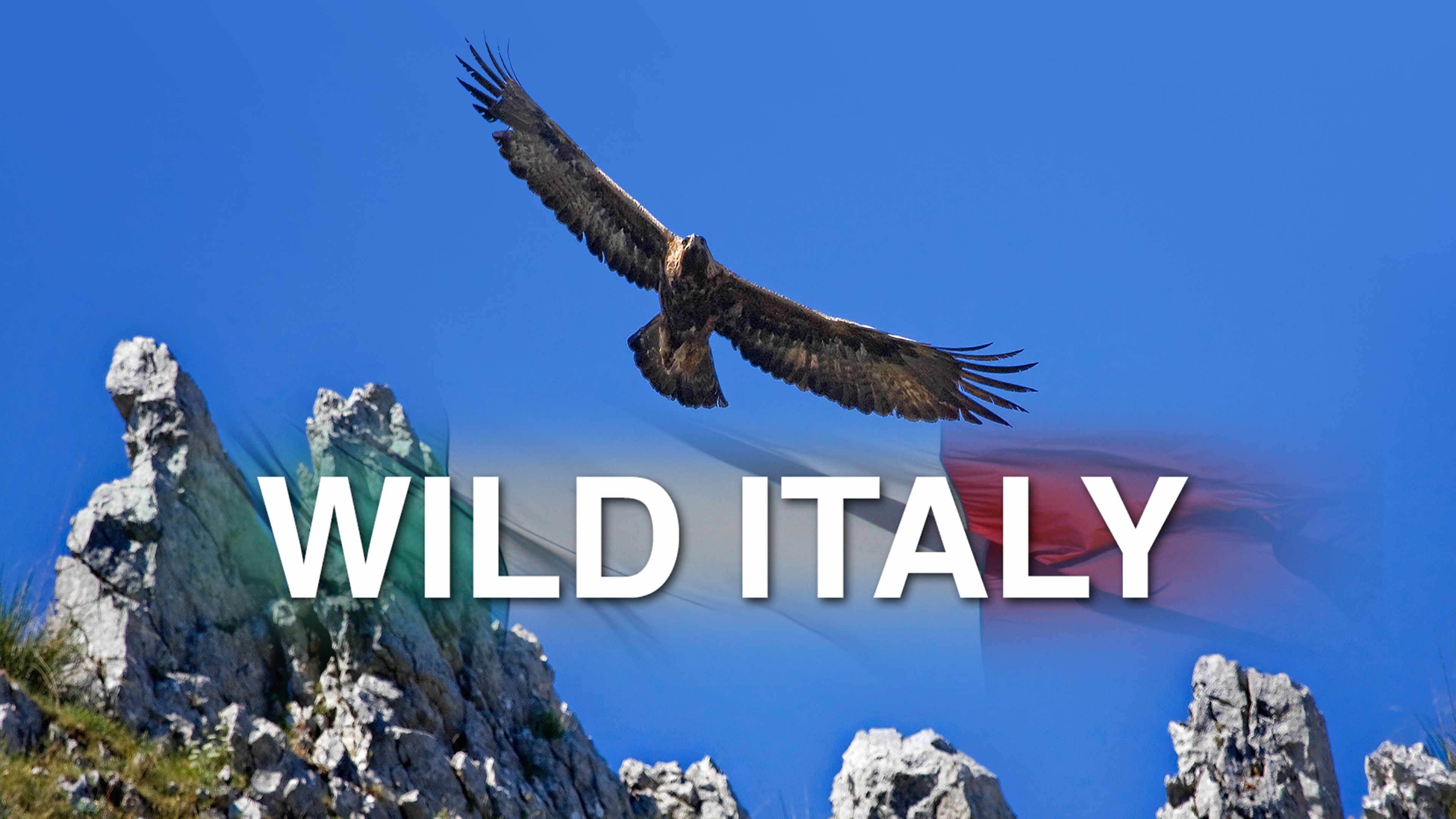 Wild Italy