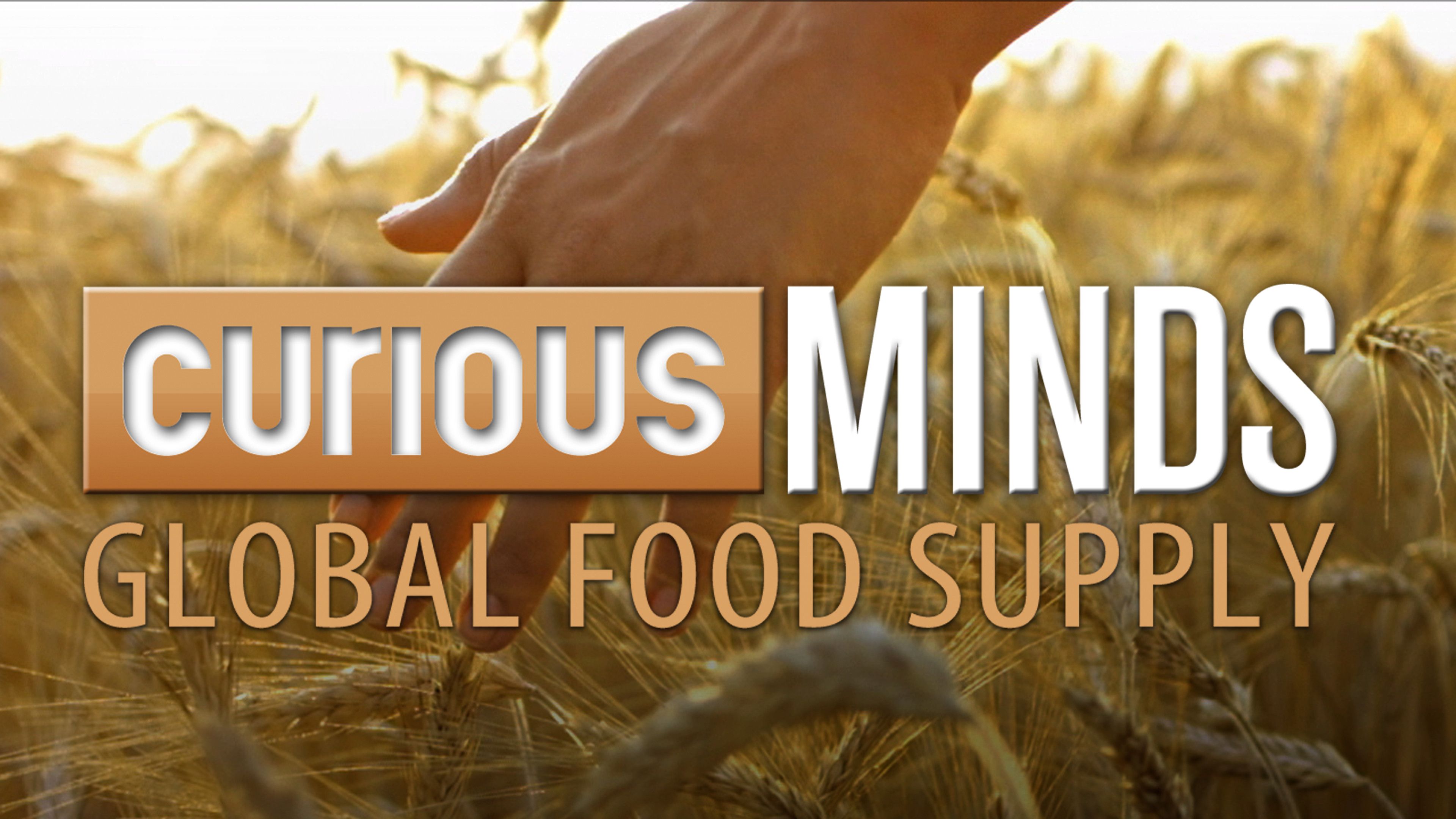 Curious Minds: Global Food Supply