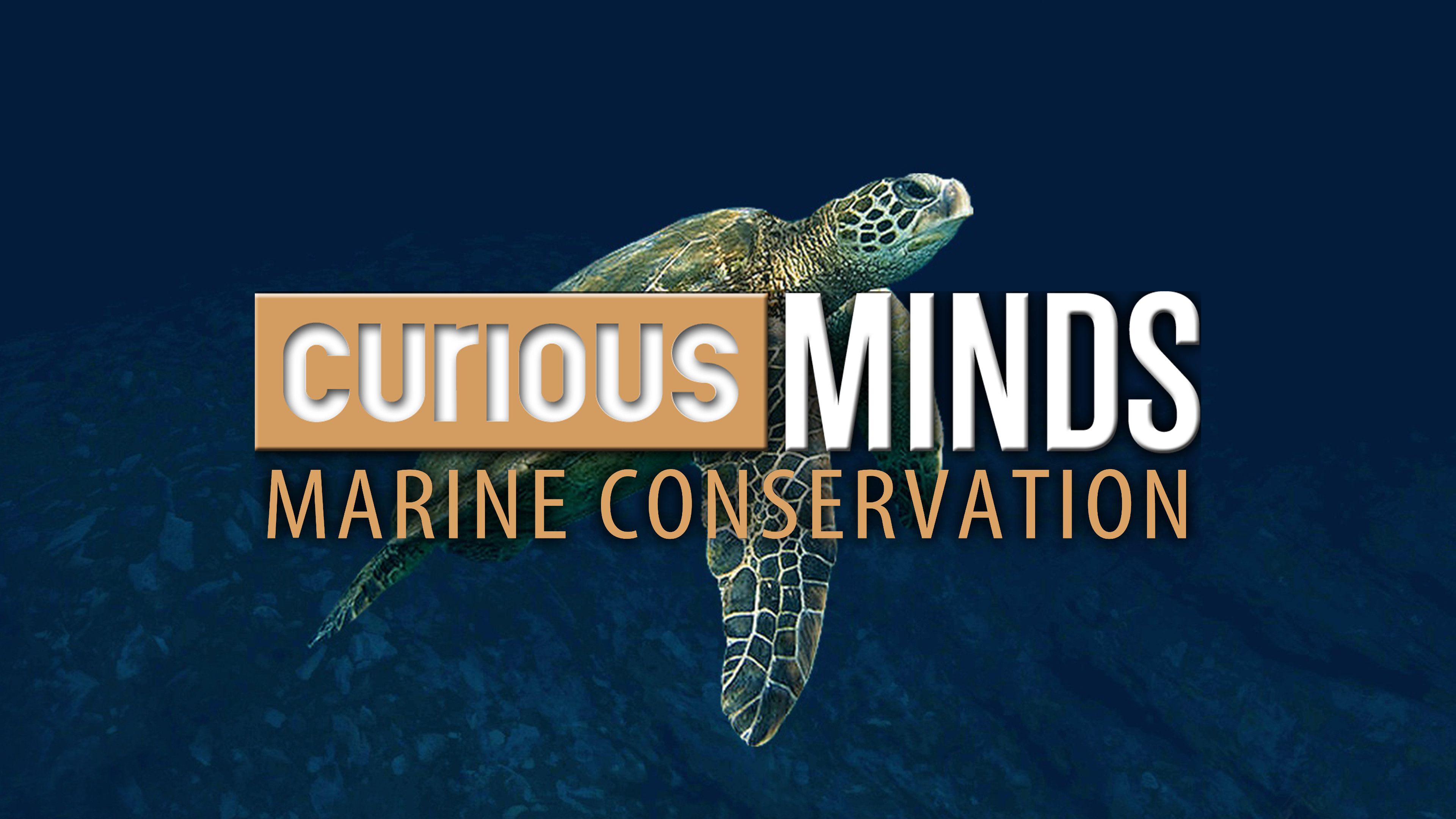 Curious Minds: Marine Conservation