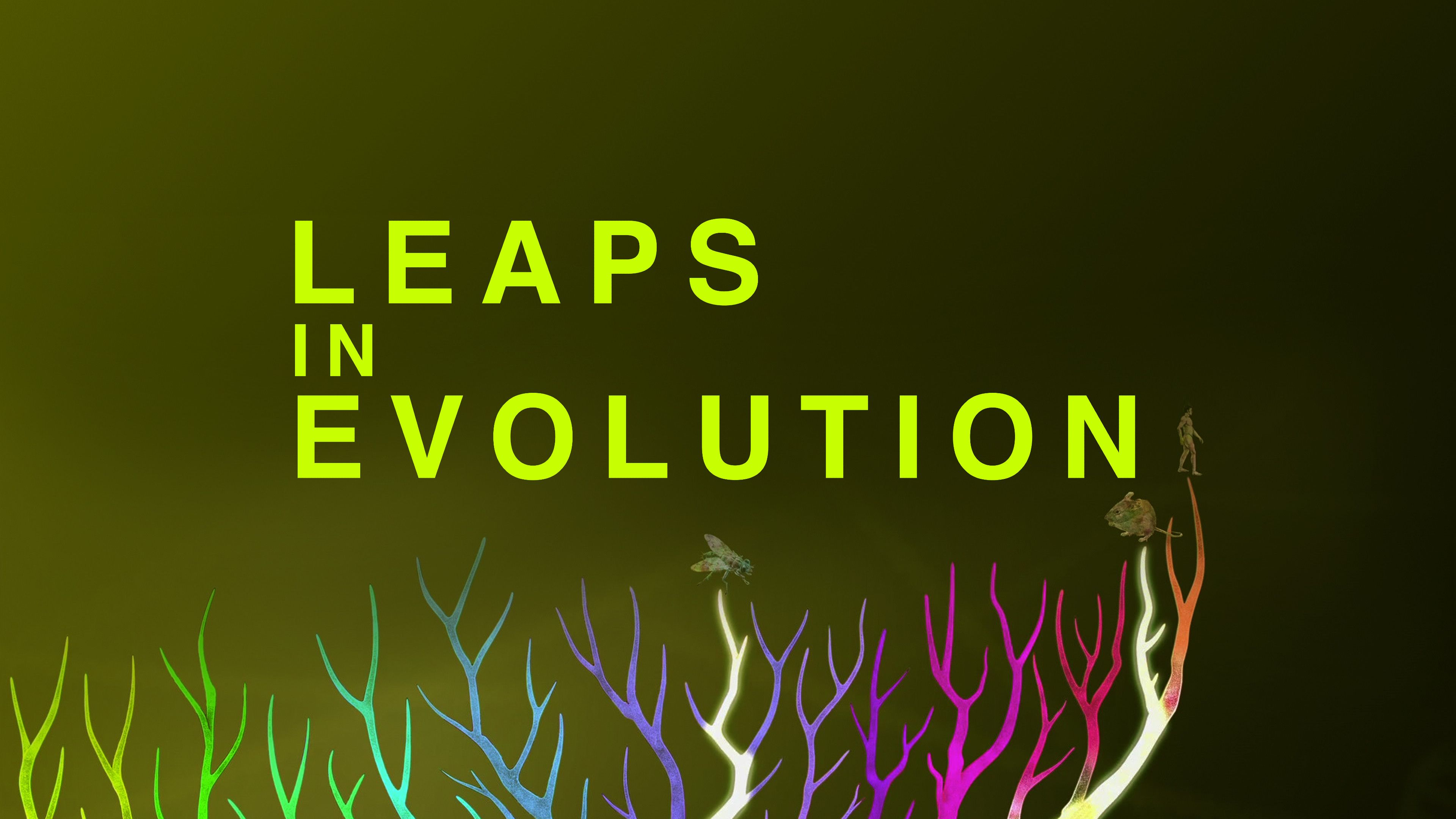 Leaps In Evolution