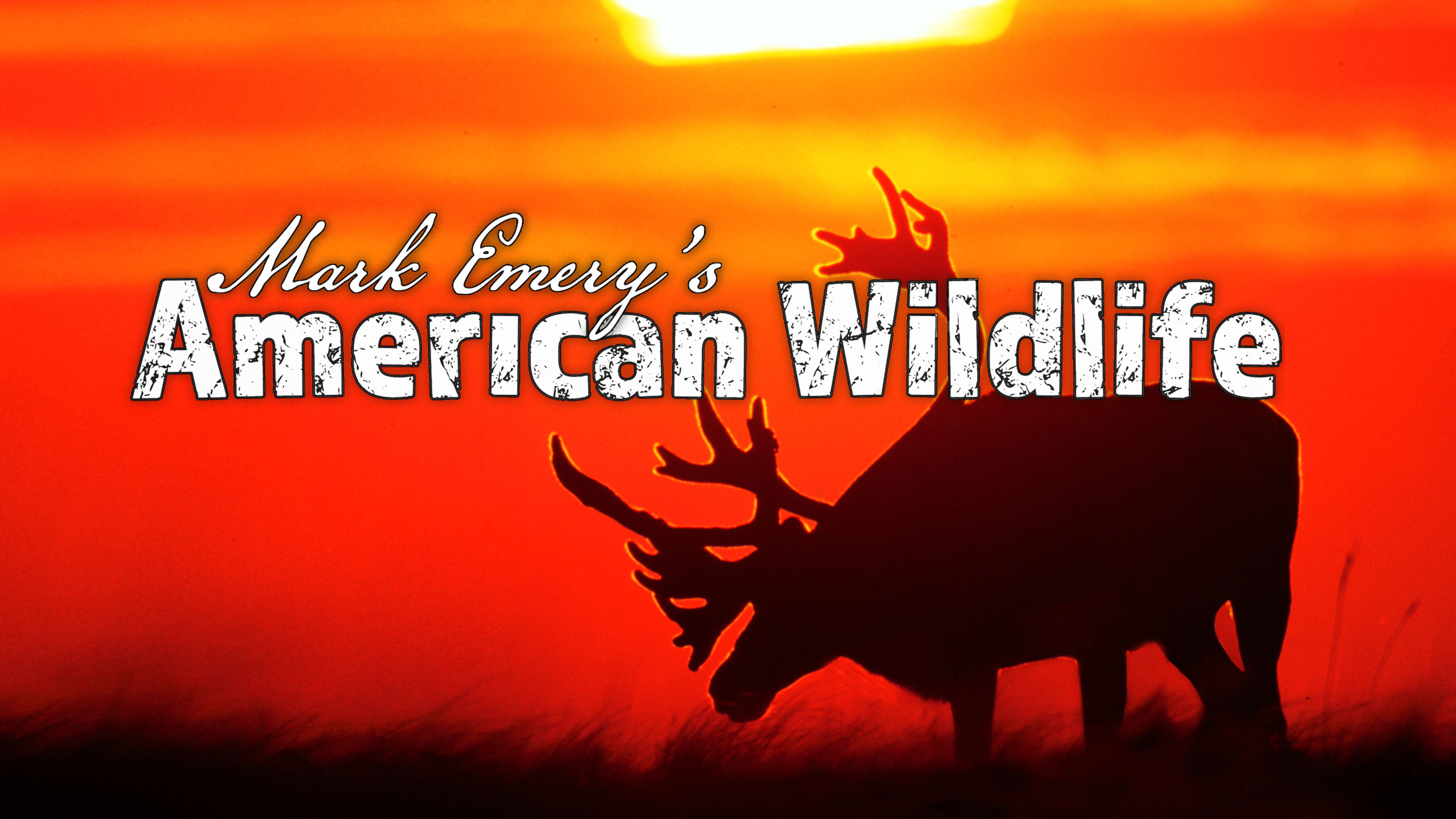 Mark Emery's American Wildlife