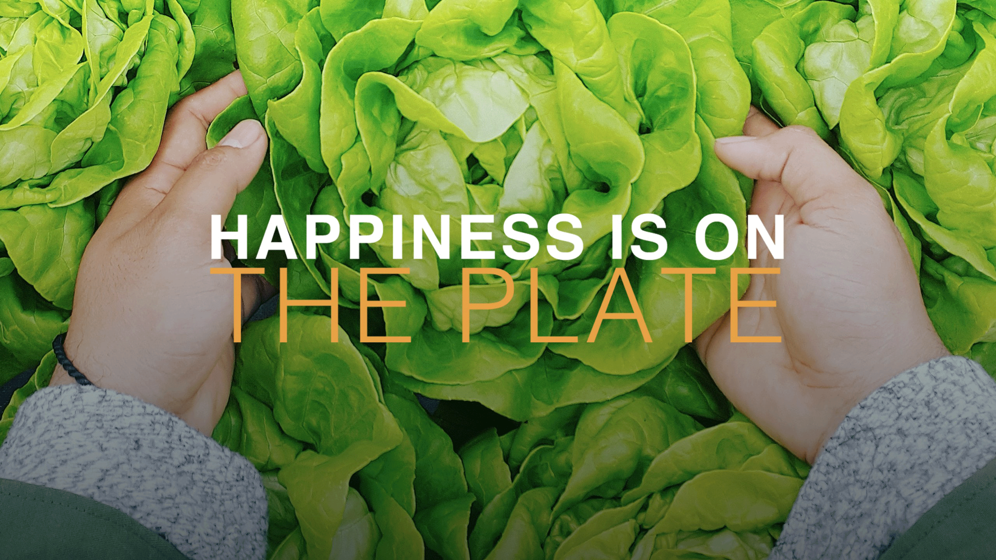Happiness is on the Plate
