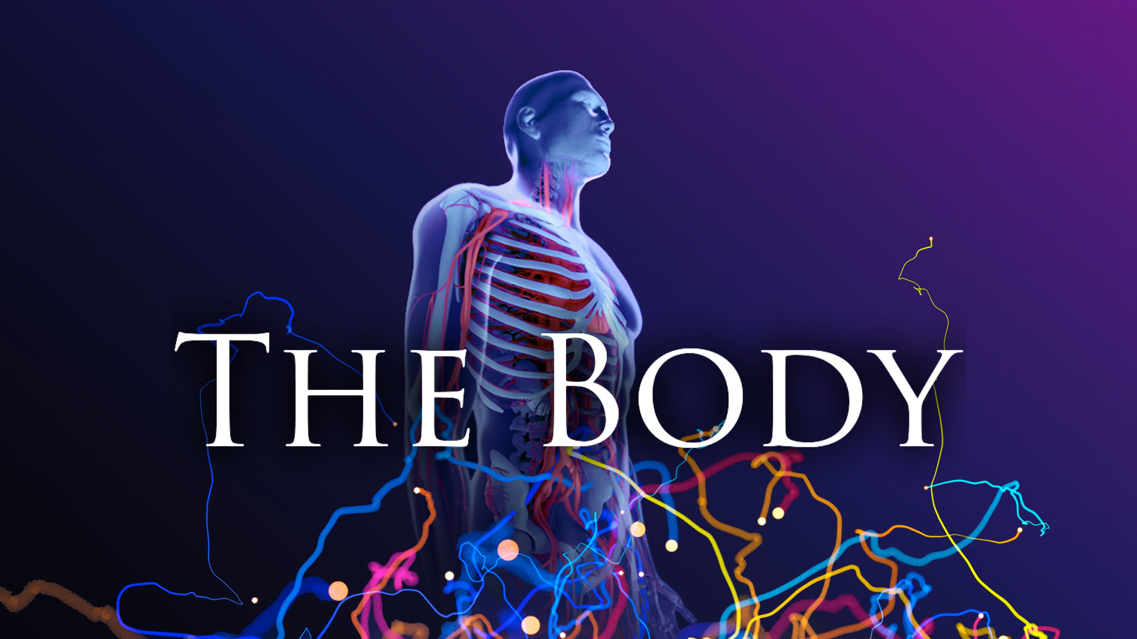 The Body