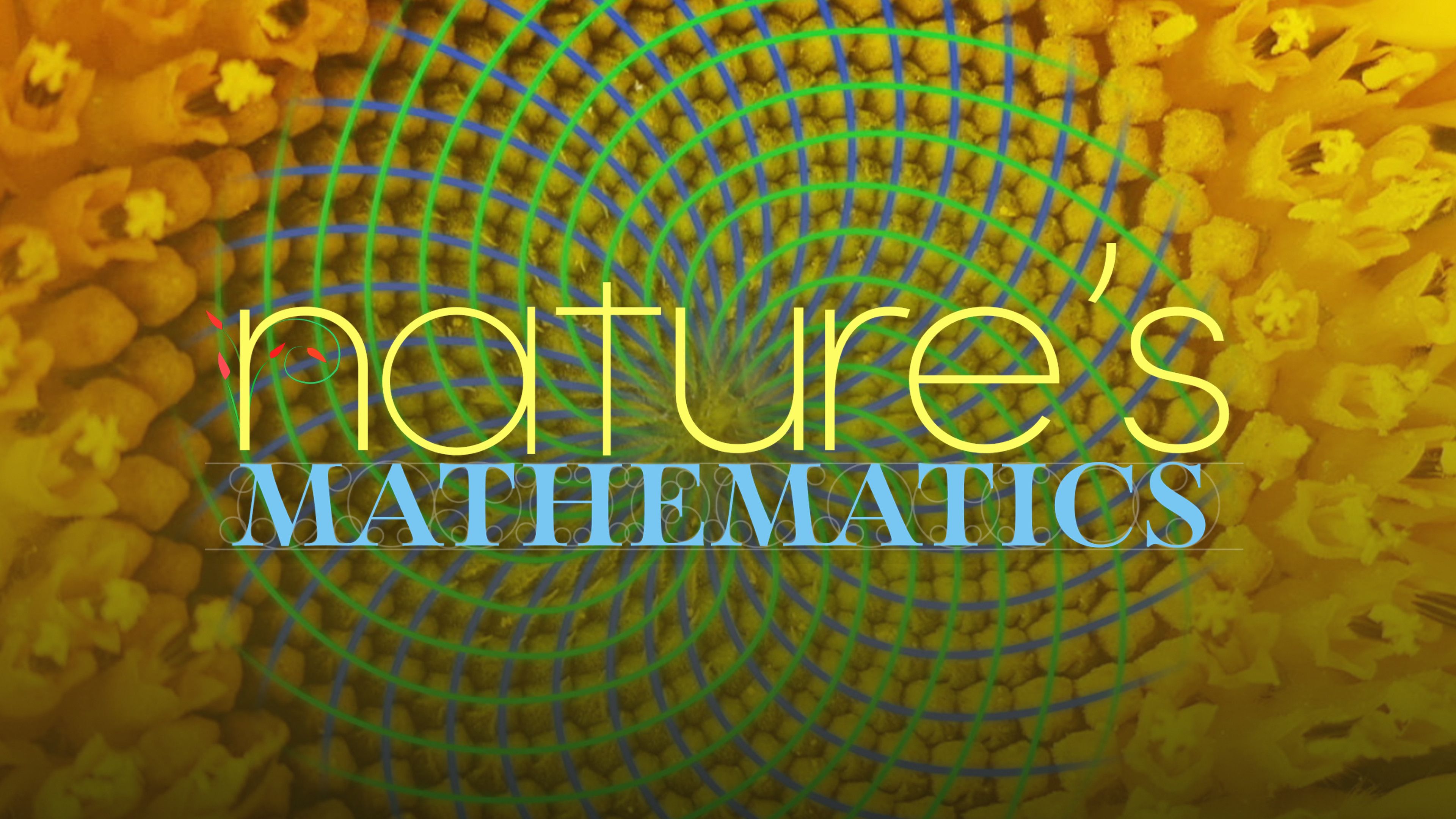 Nature's Mathematics