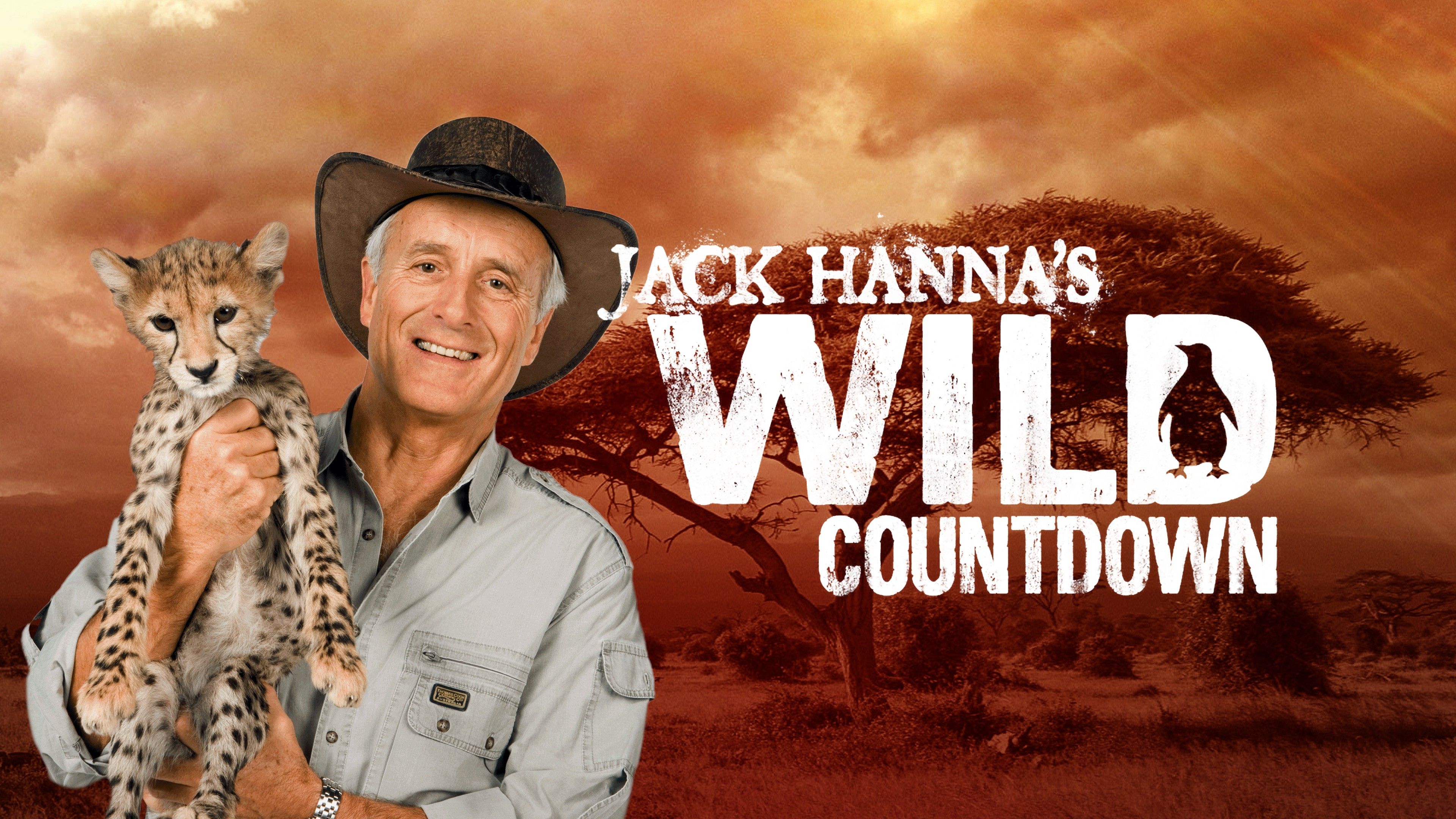 Jack Hanna's Wild Countdown (Season 1)