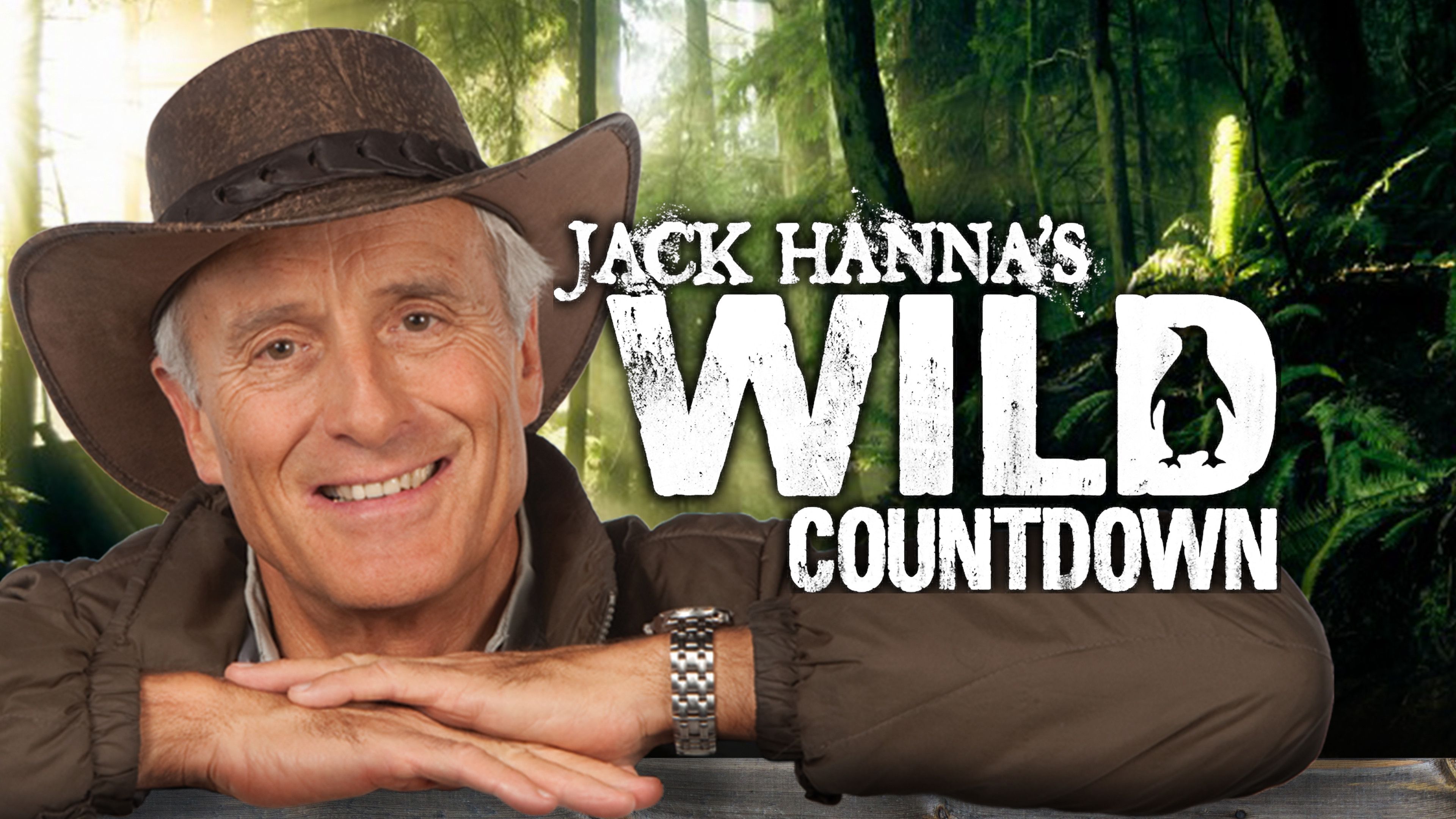 Jack Hanna's Wild Countdown (Season 2)