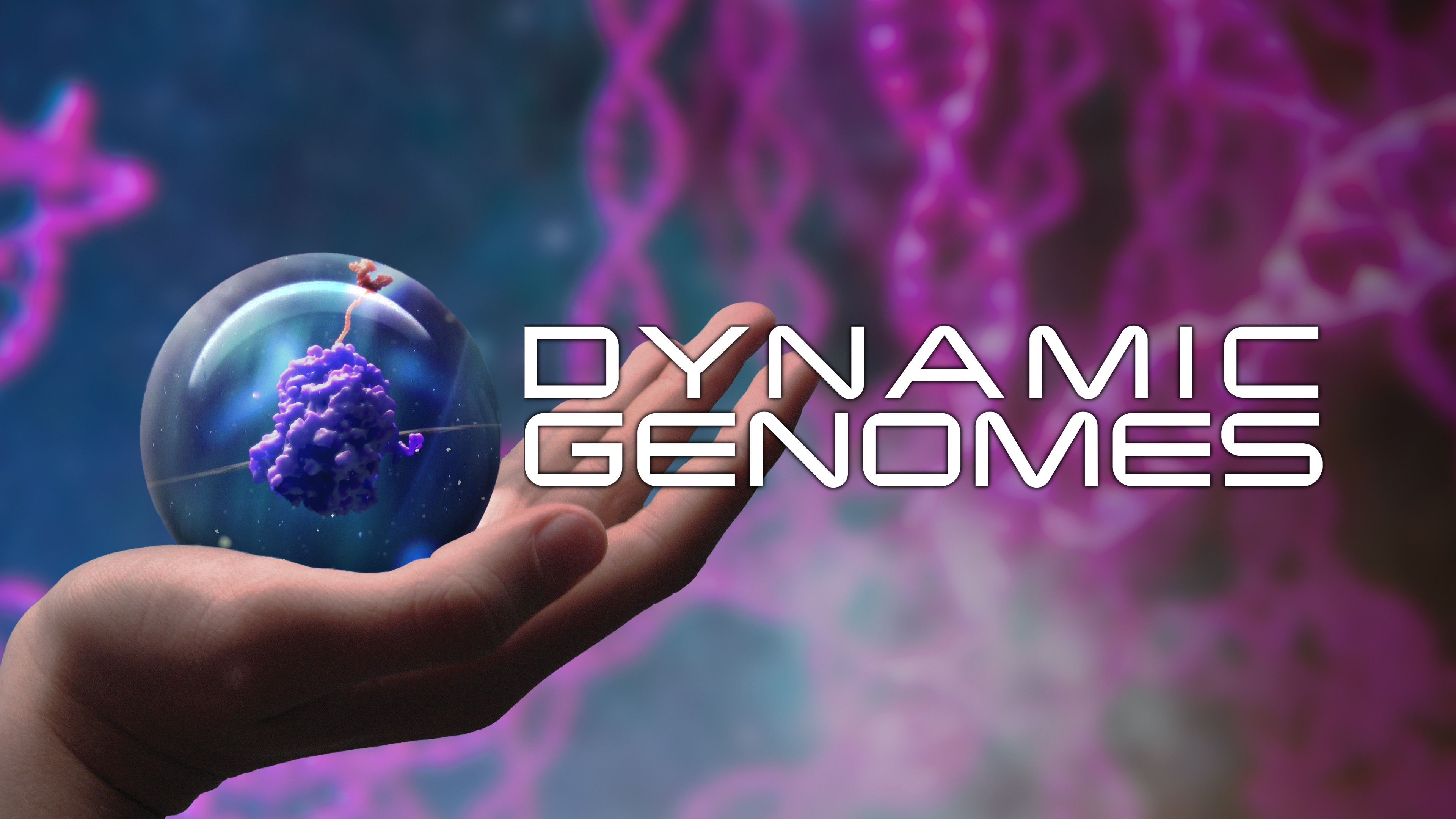 Dynamic Genomes
