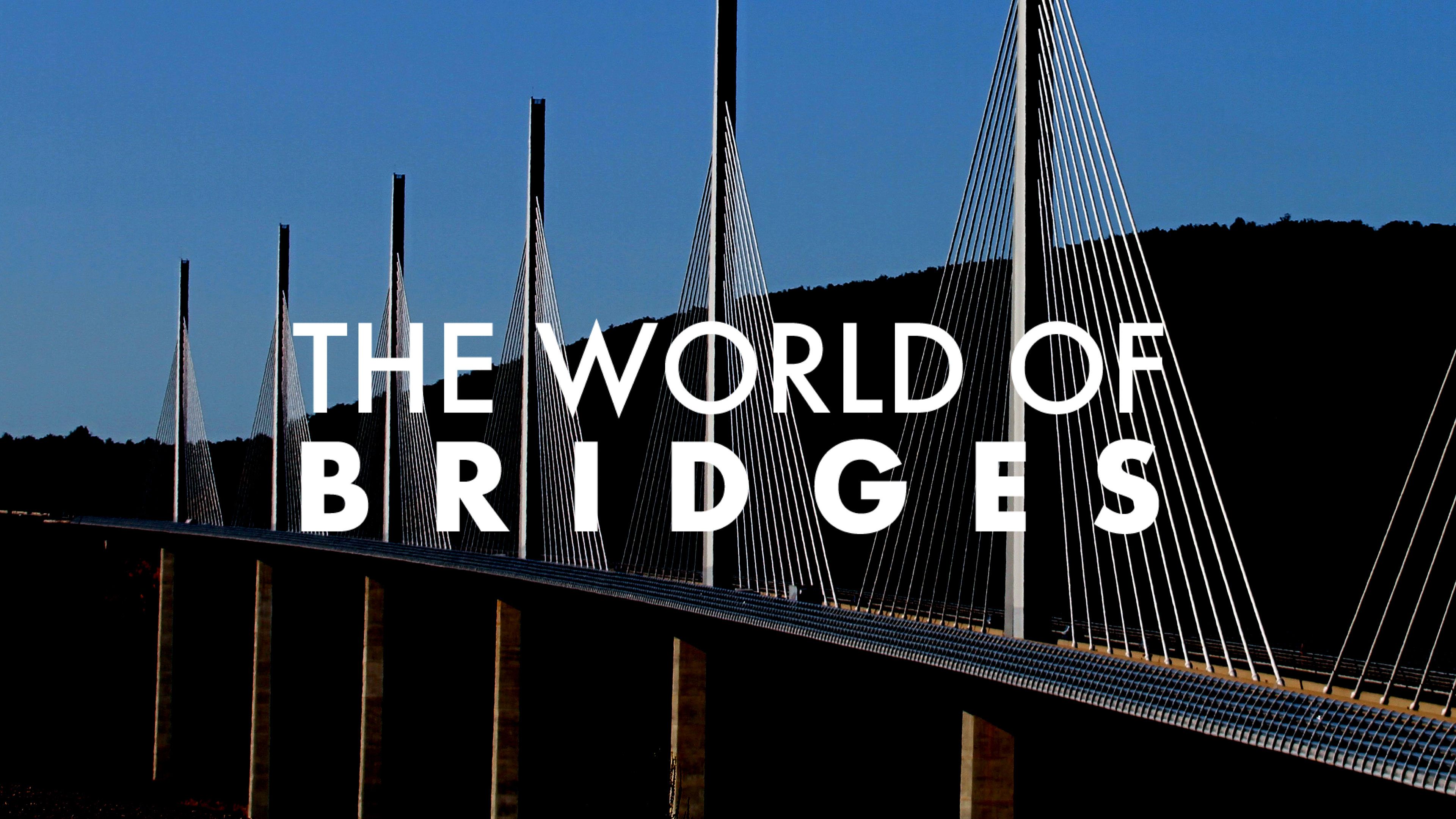 The World of Bridges