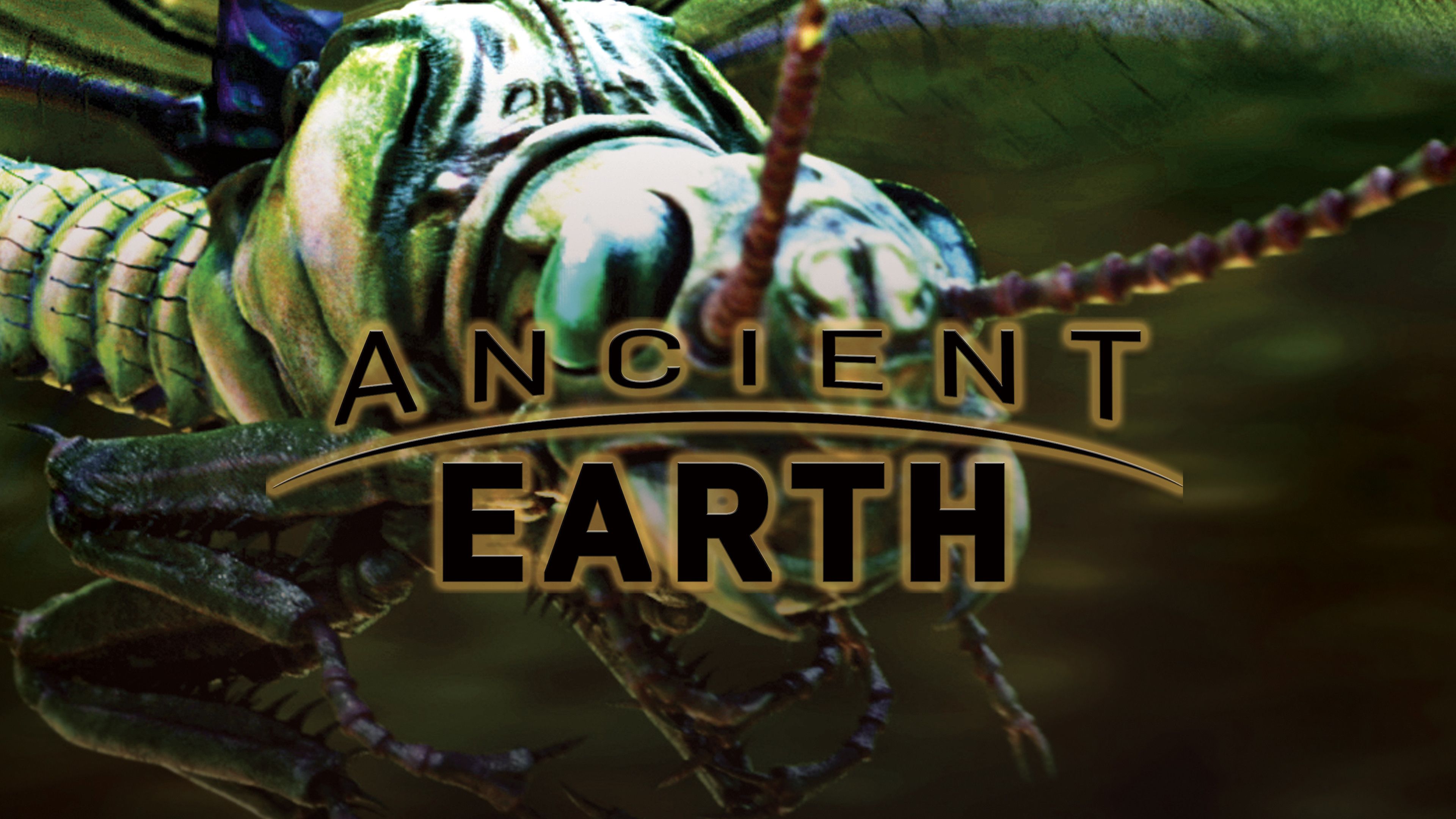 What Killed the Giant Insects?