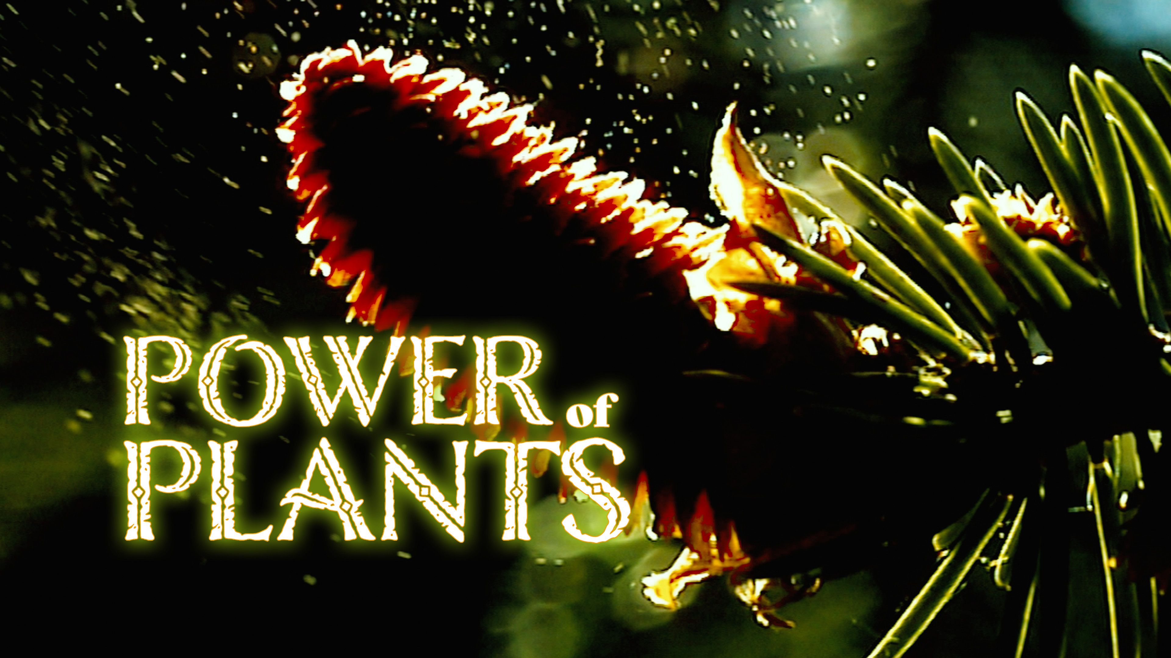Power of Plants