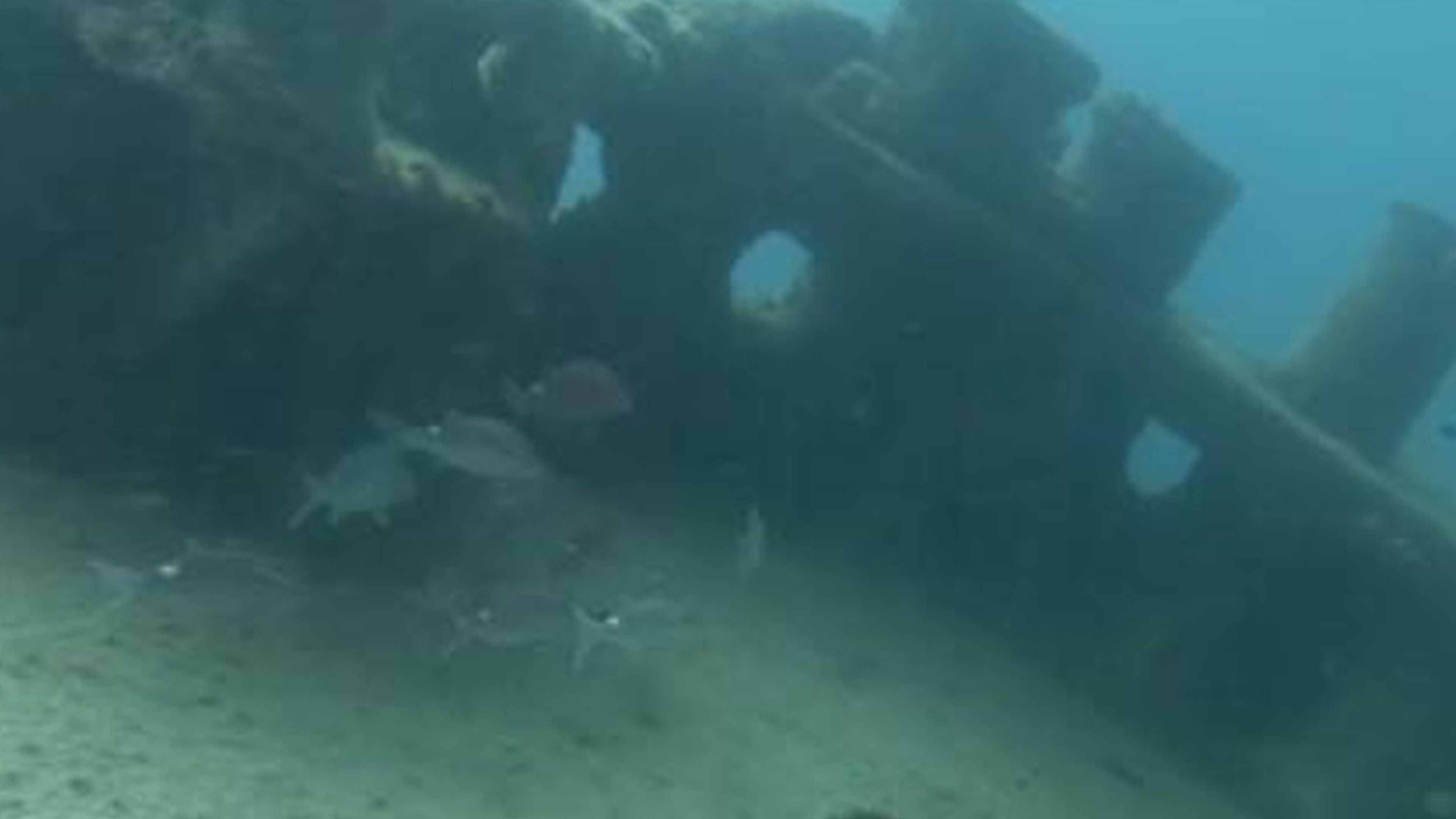 The Value Of Shipwrecks