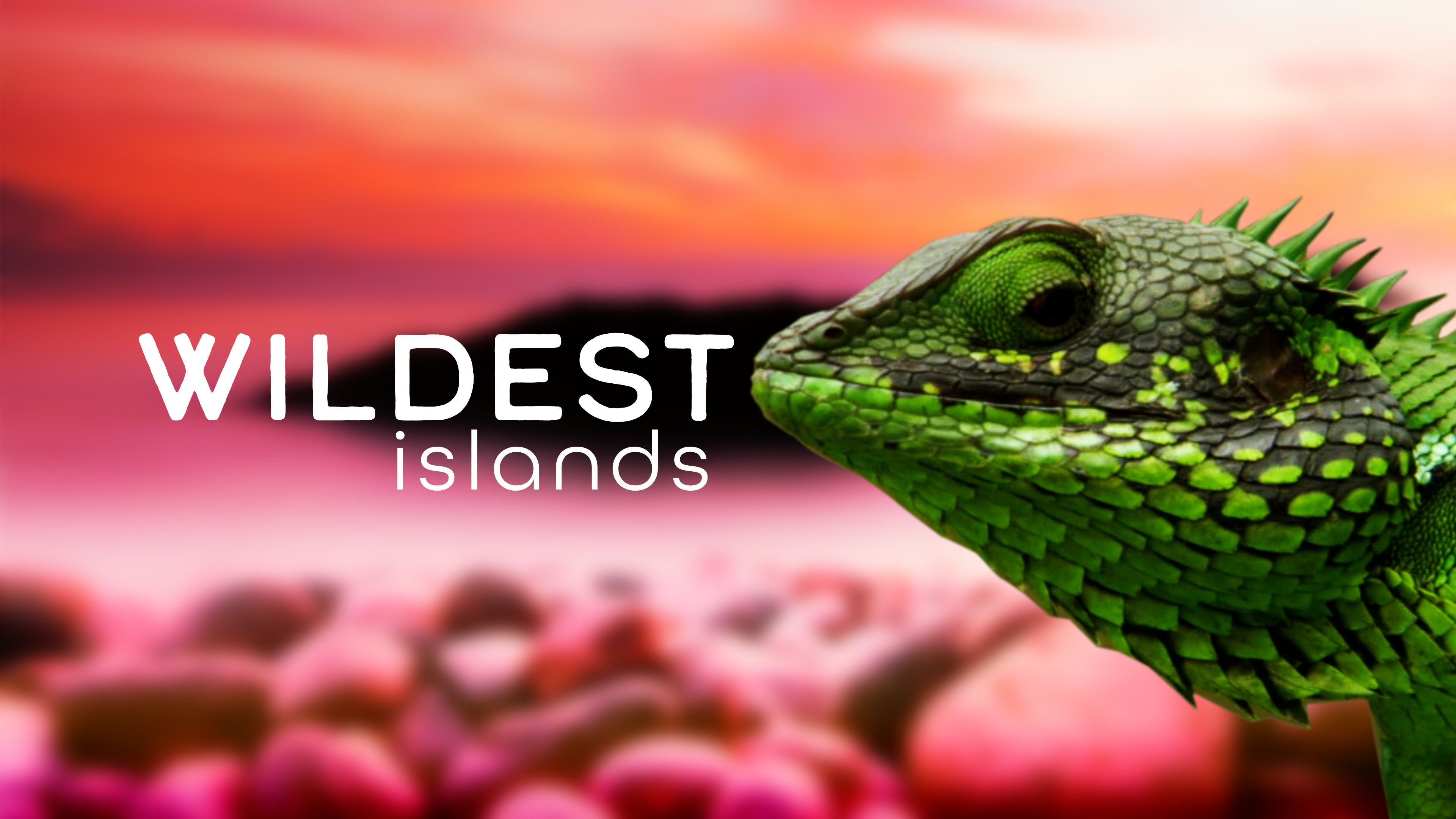 Wildest Islands (Season 1)