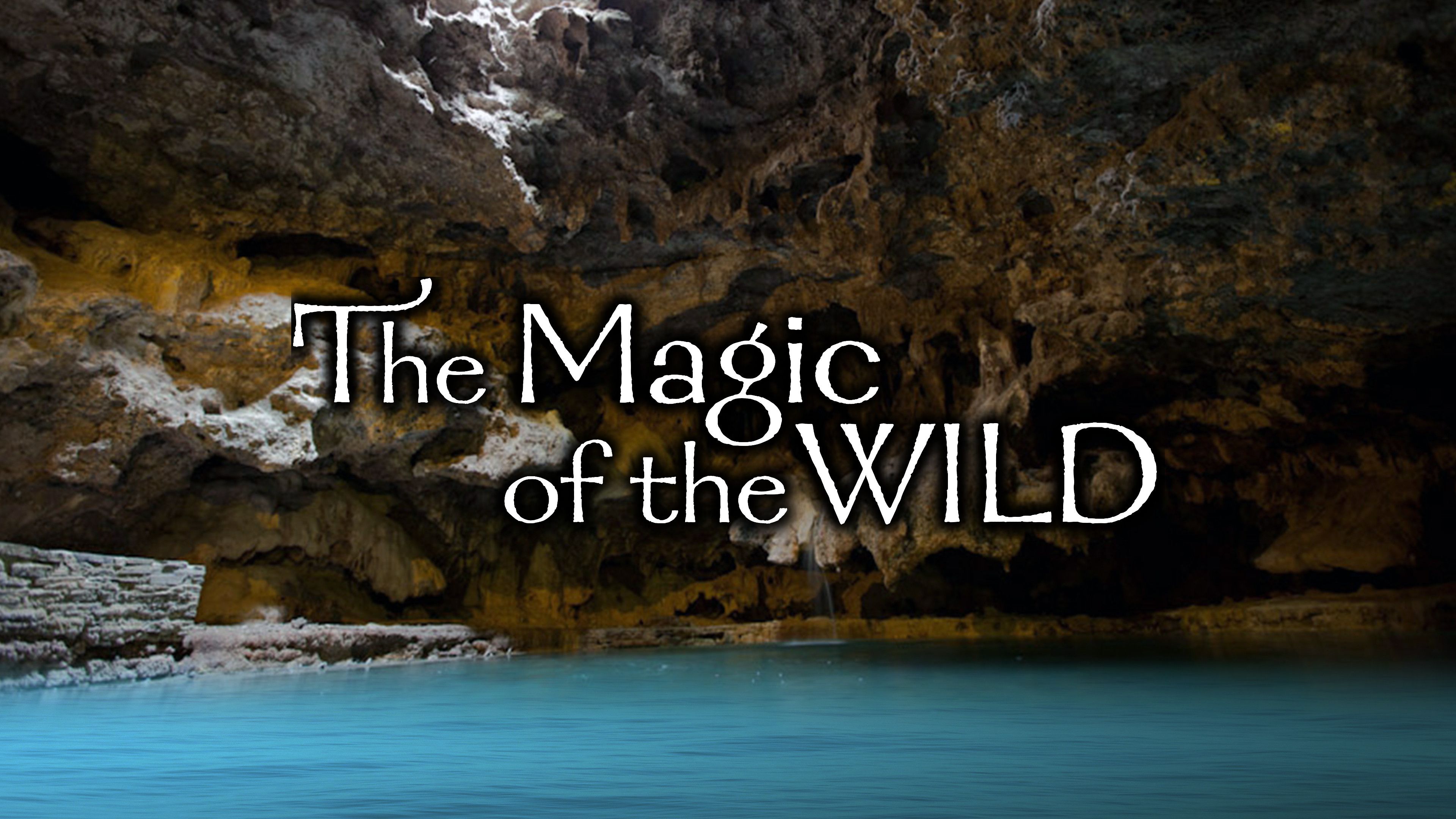 The Magic of the Wild
