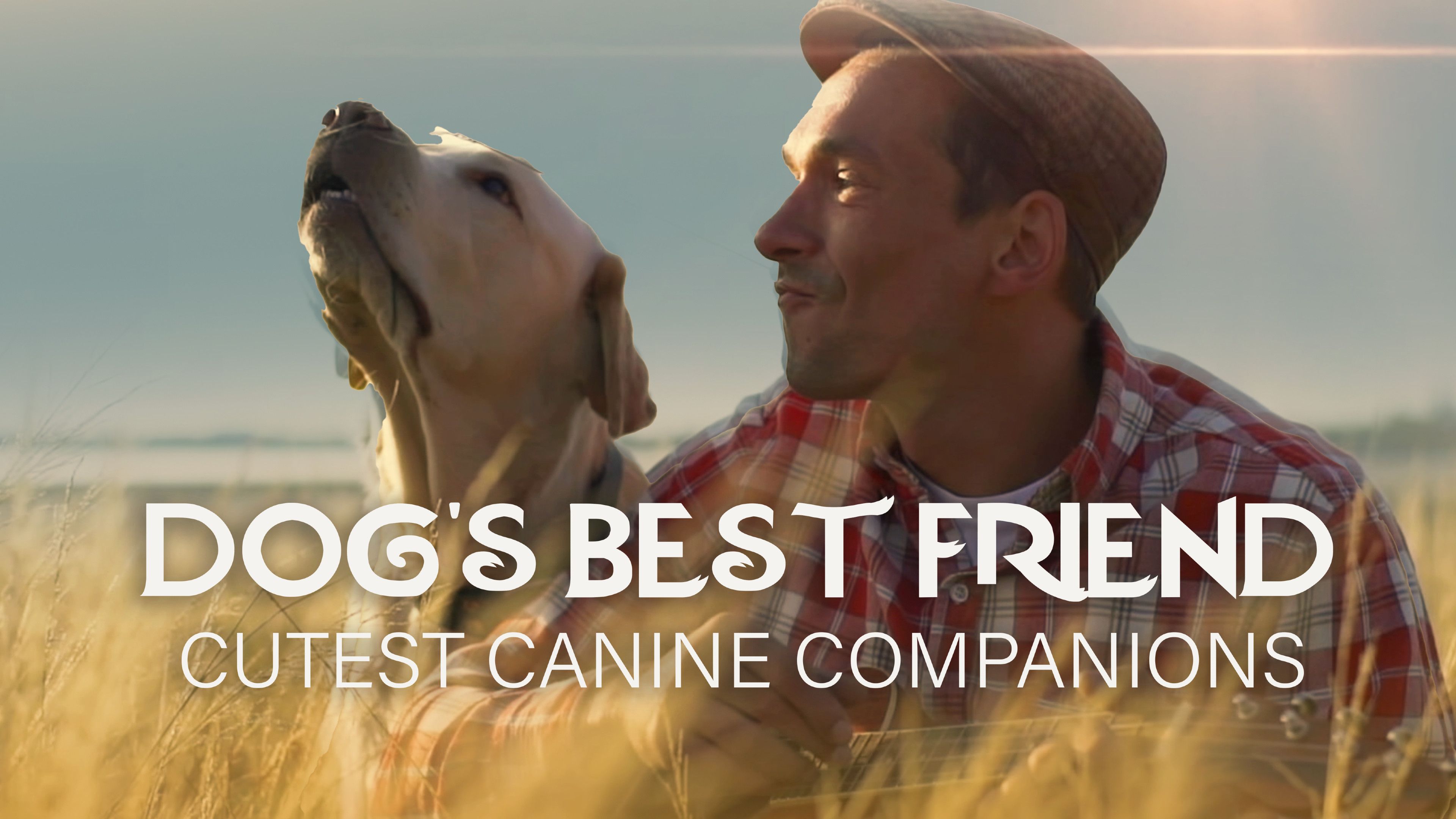 Dog’s Best Friend: Cutest Canine Companions