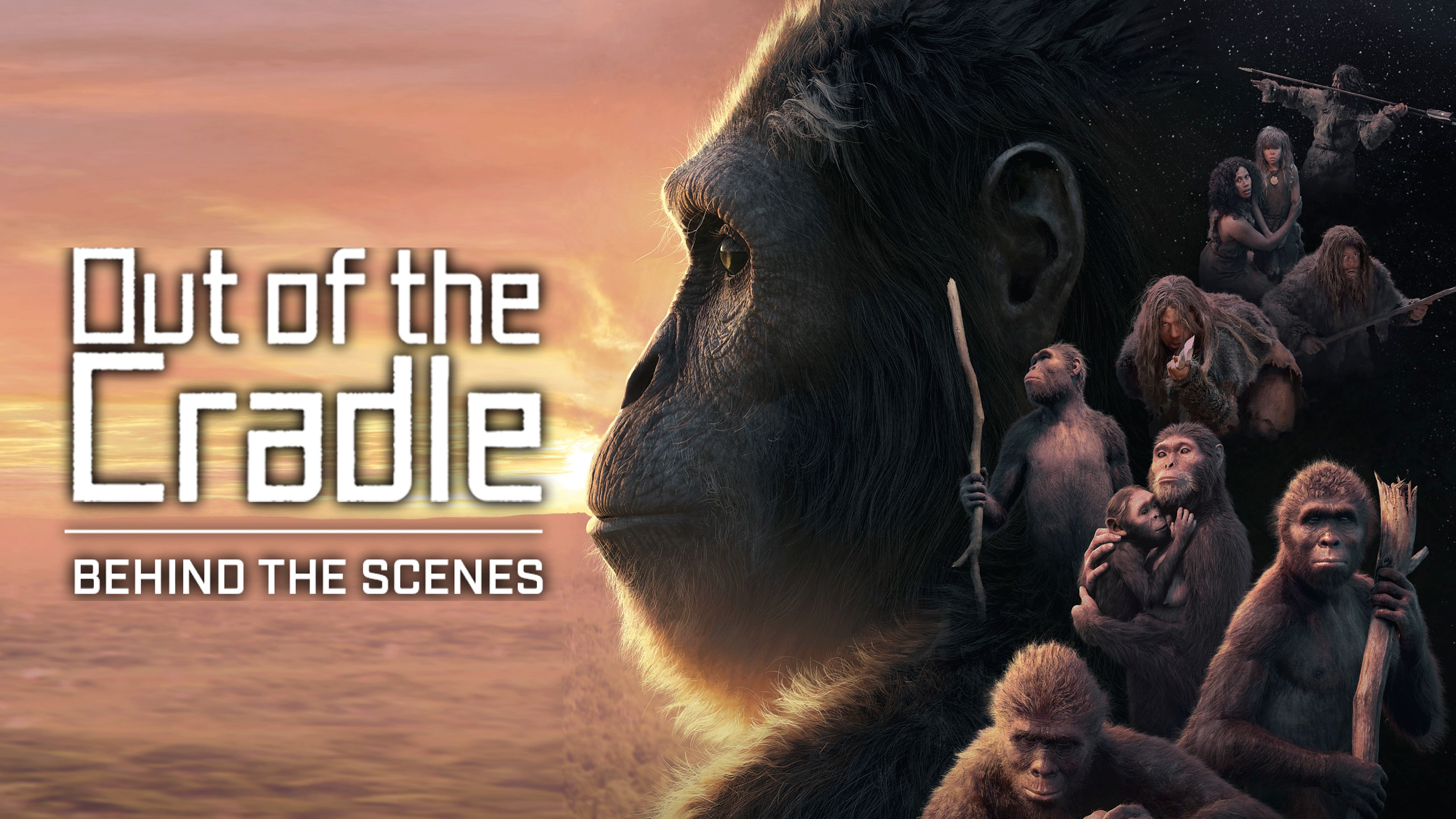 Out of the Cradle - Behind The Scenes
