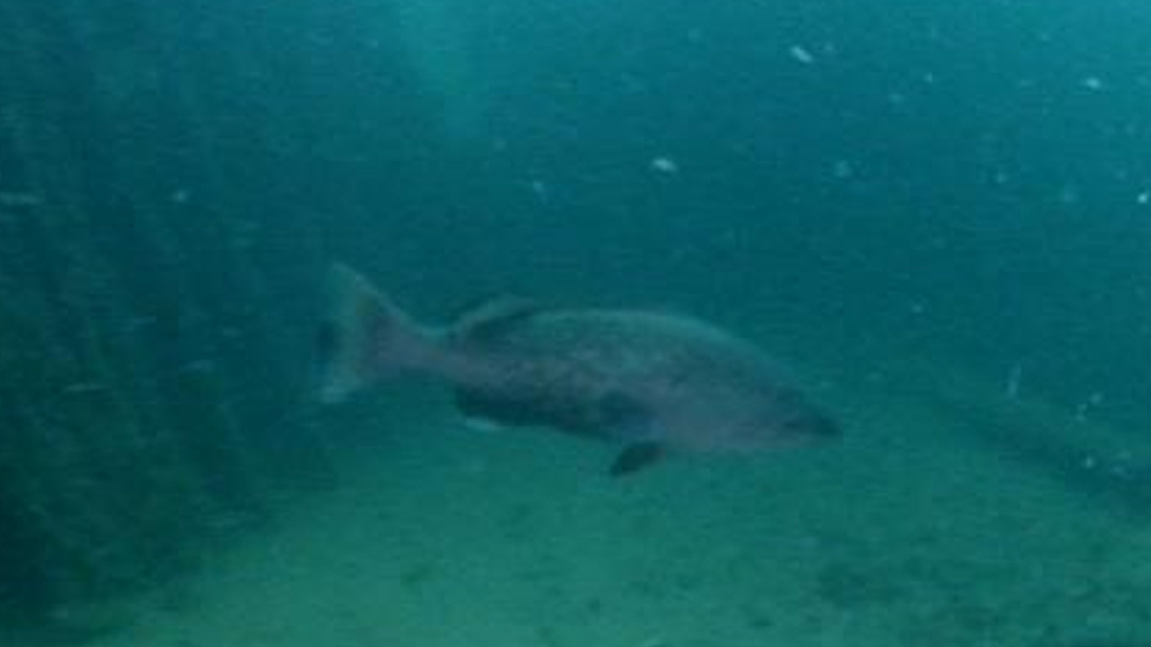 Fresh Water Vs Salt Water Wrecks