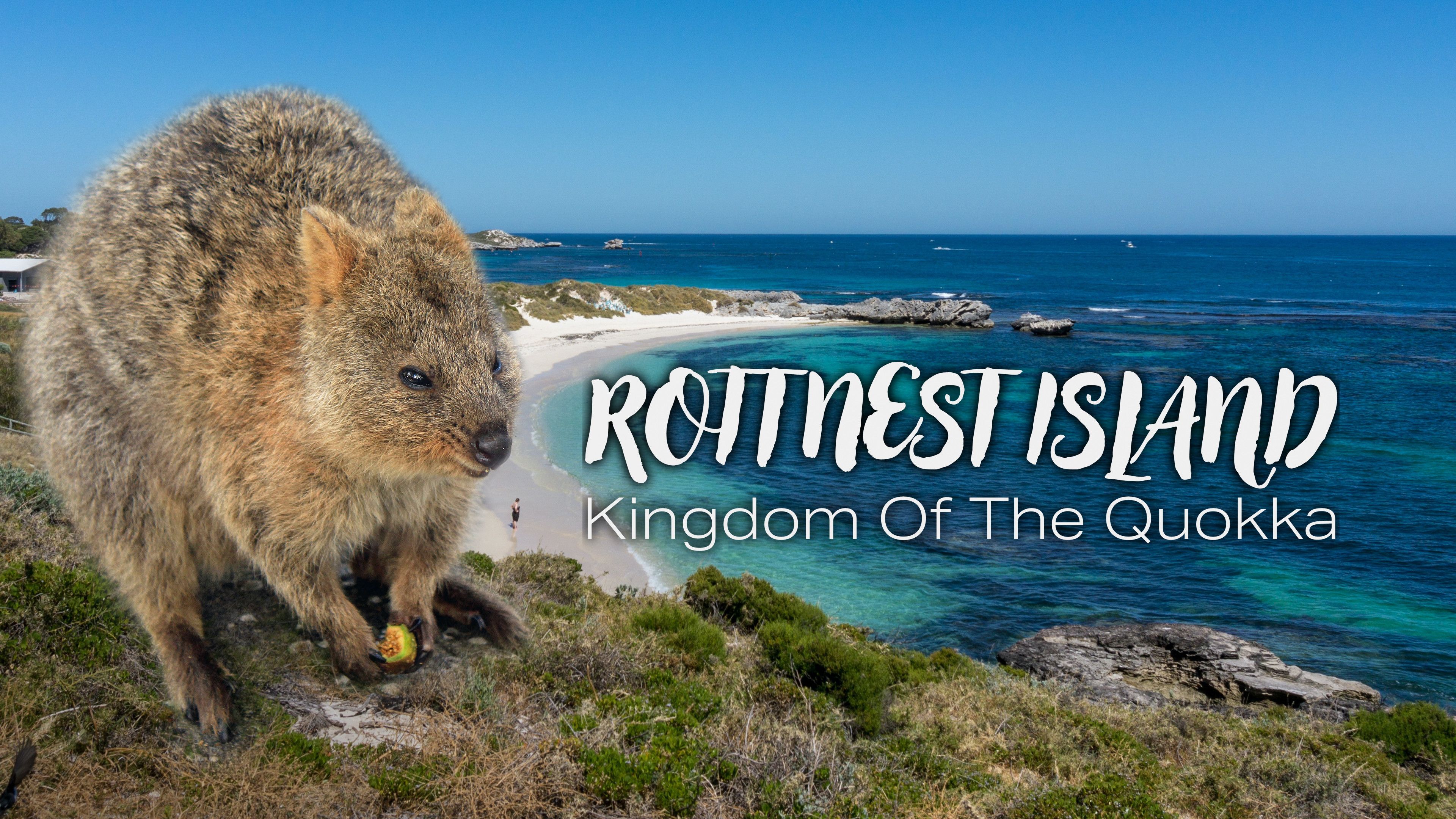 Rottnest Island: Kingdom Of The Quokka