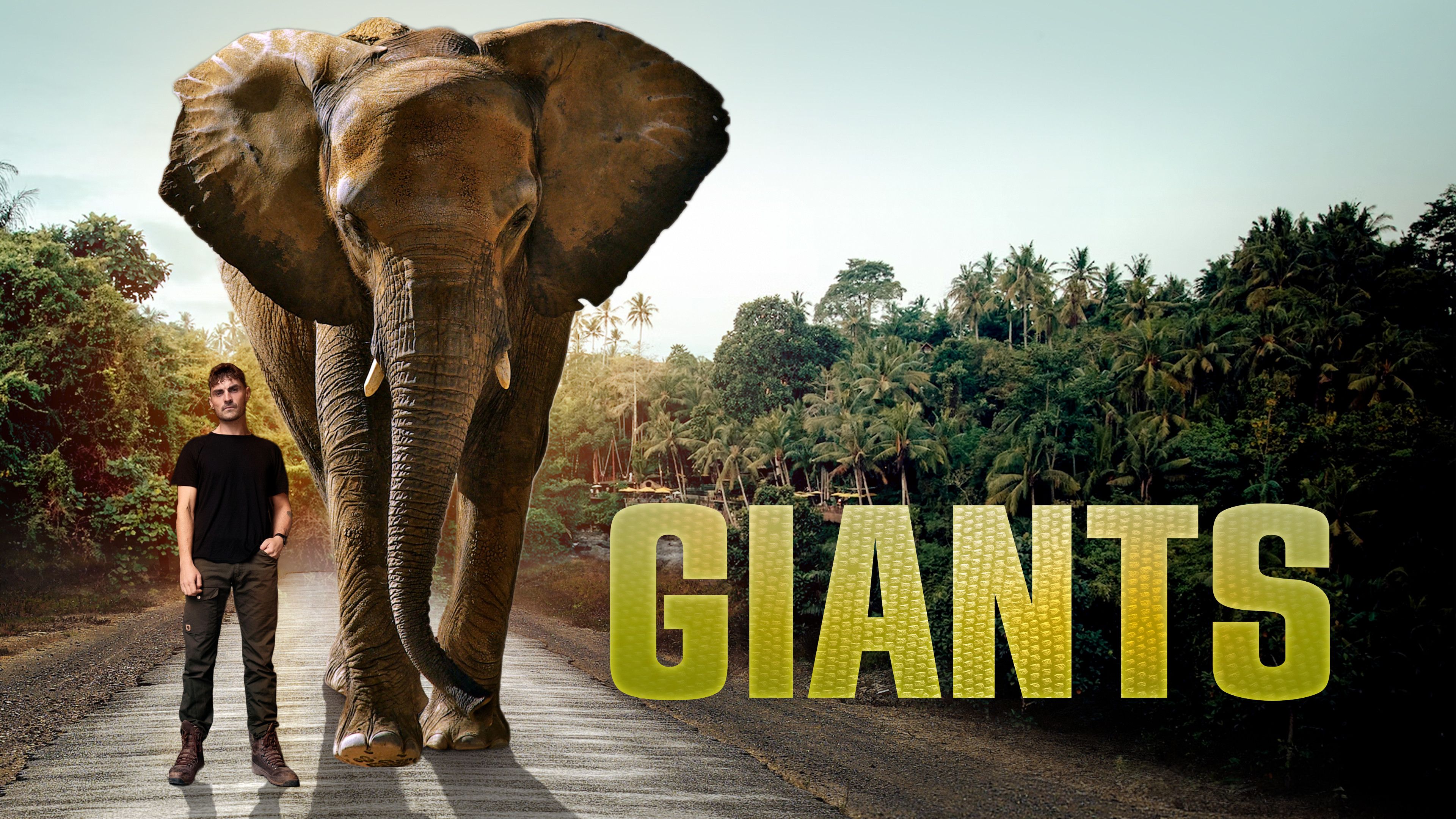 Giants