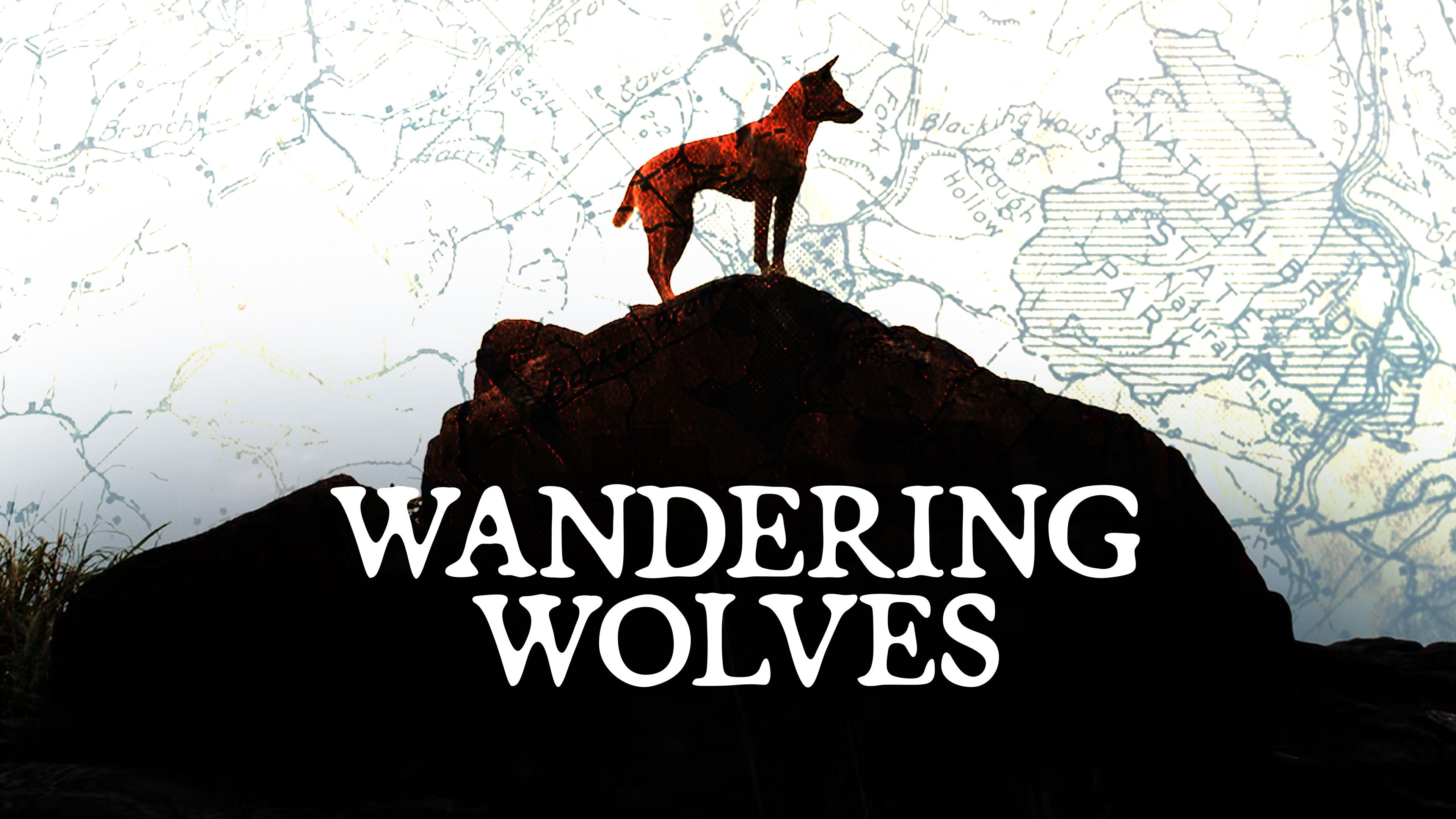 Wandering Wolves