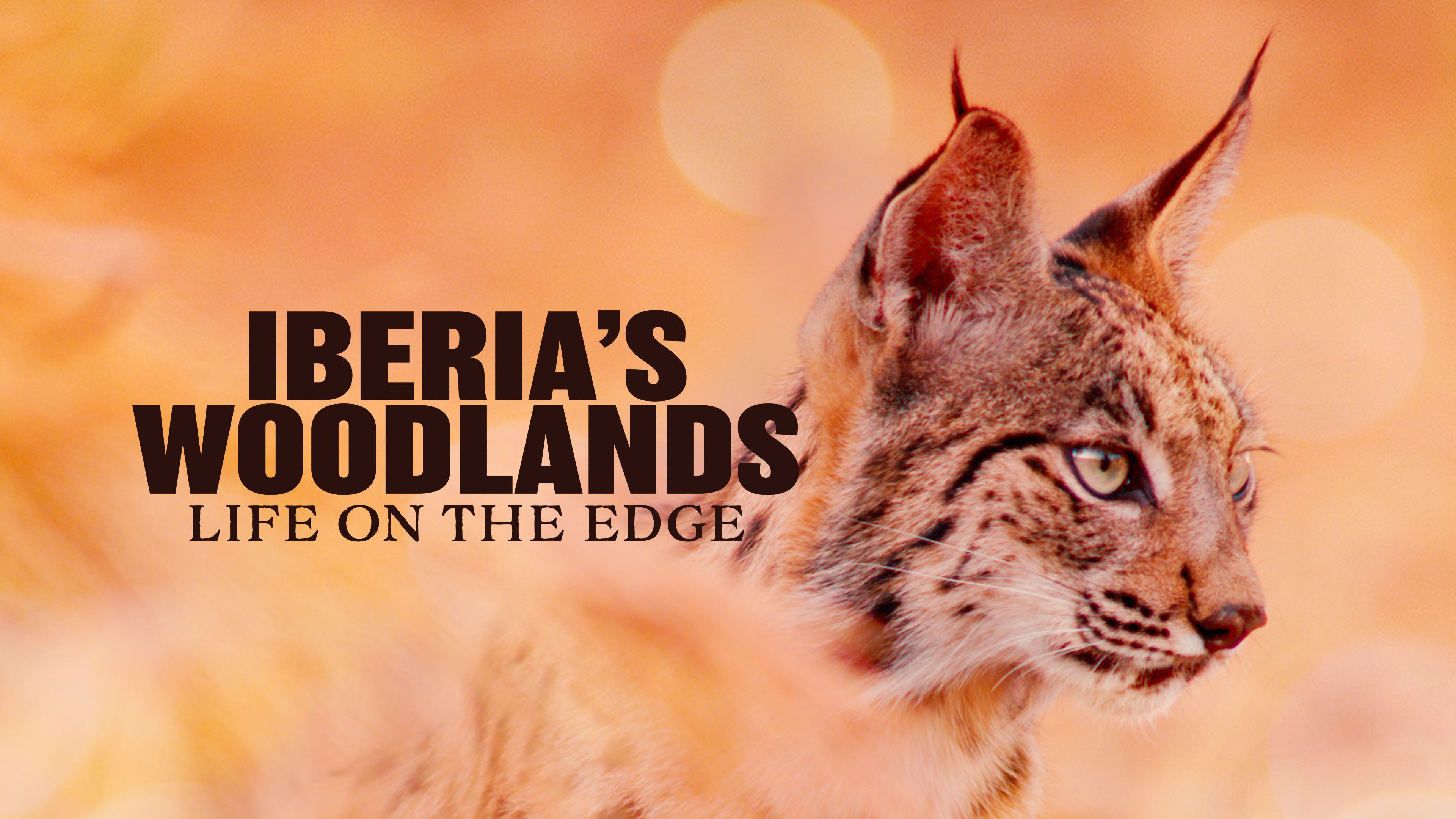 Iberia's Woodlands- Life on the Edge