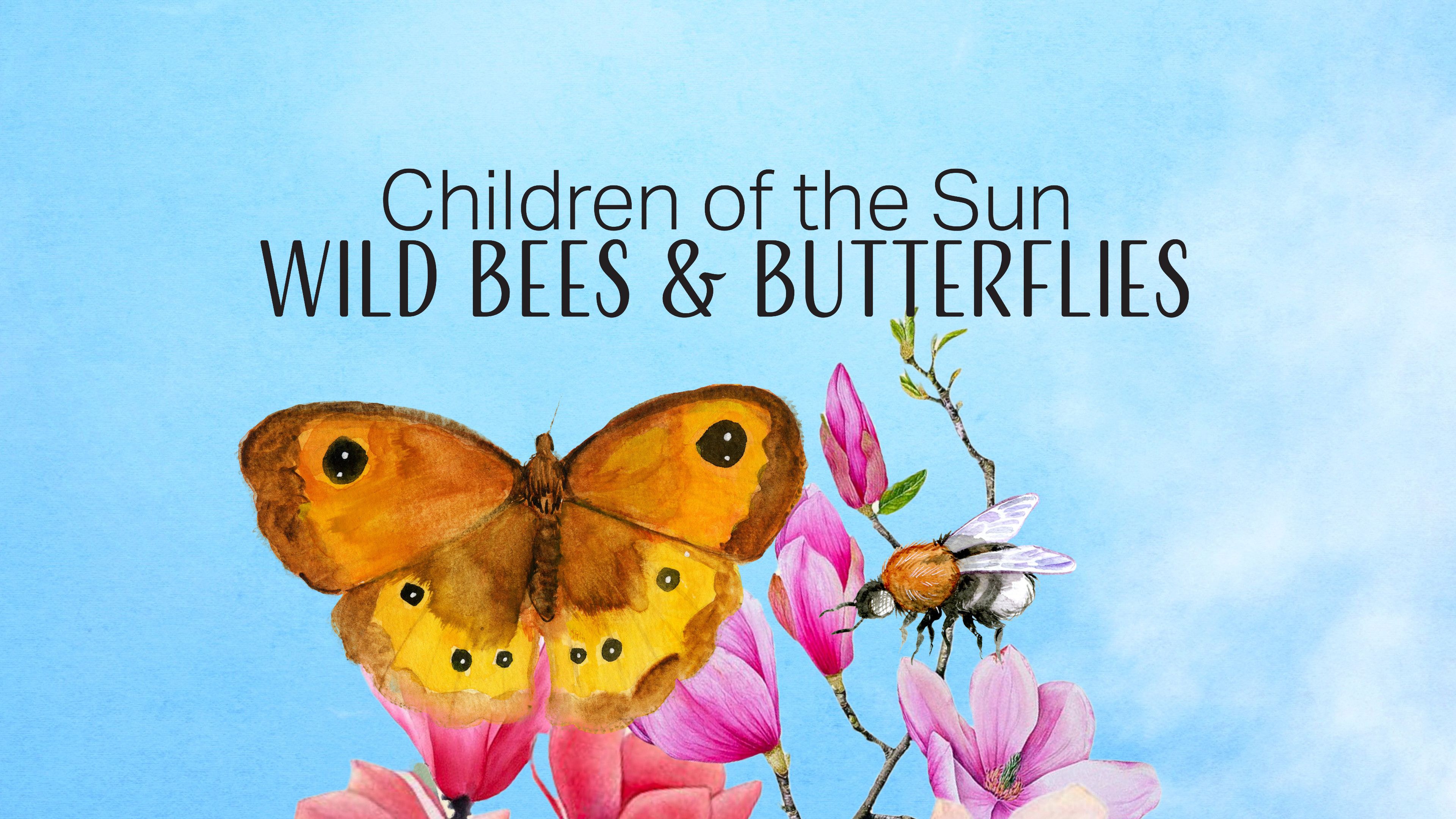 Children of the Sun - Wild Bees & Butterflies