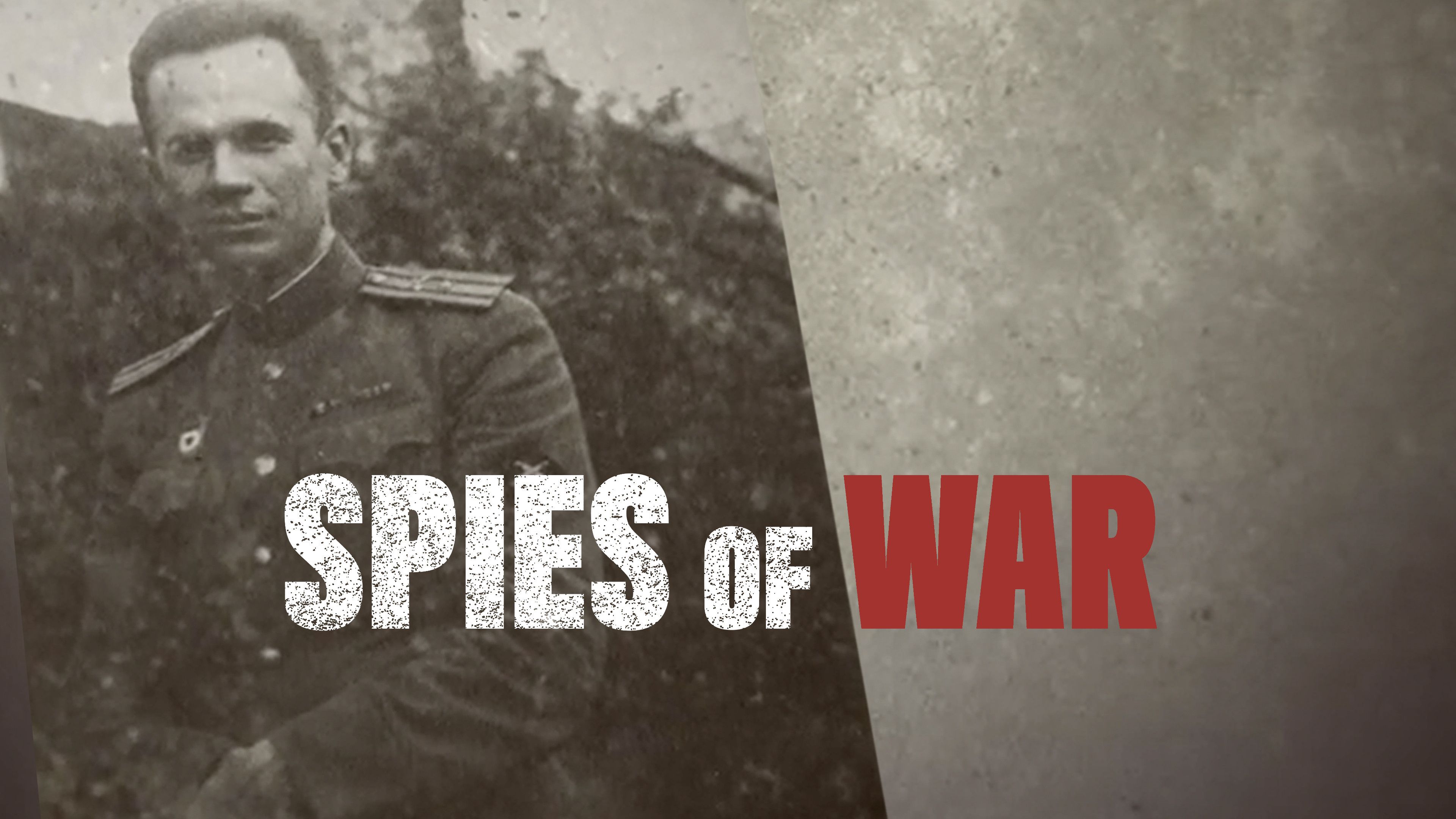 The Spy Who Saved the World