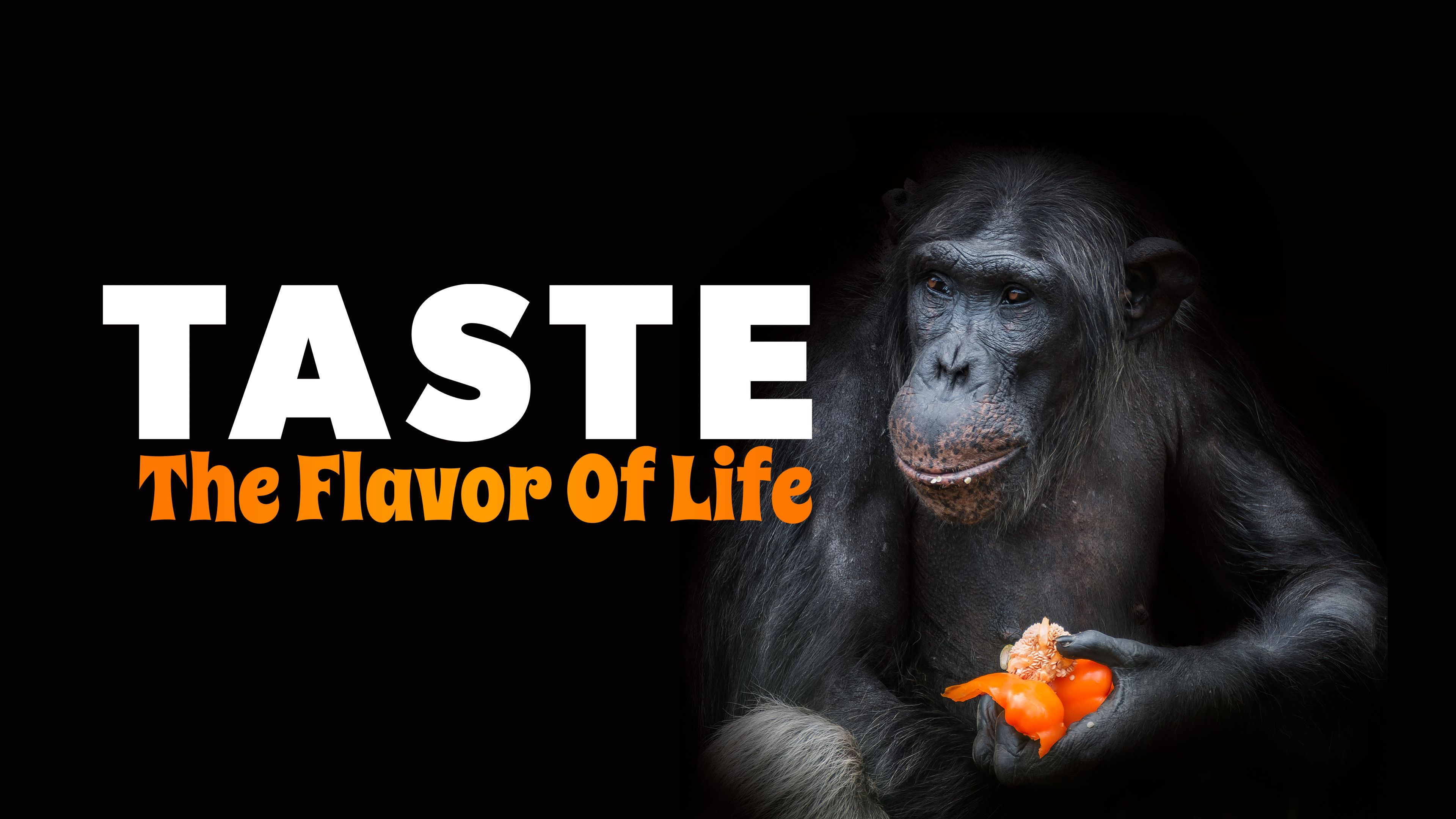 Taste: The Flavor of Life