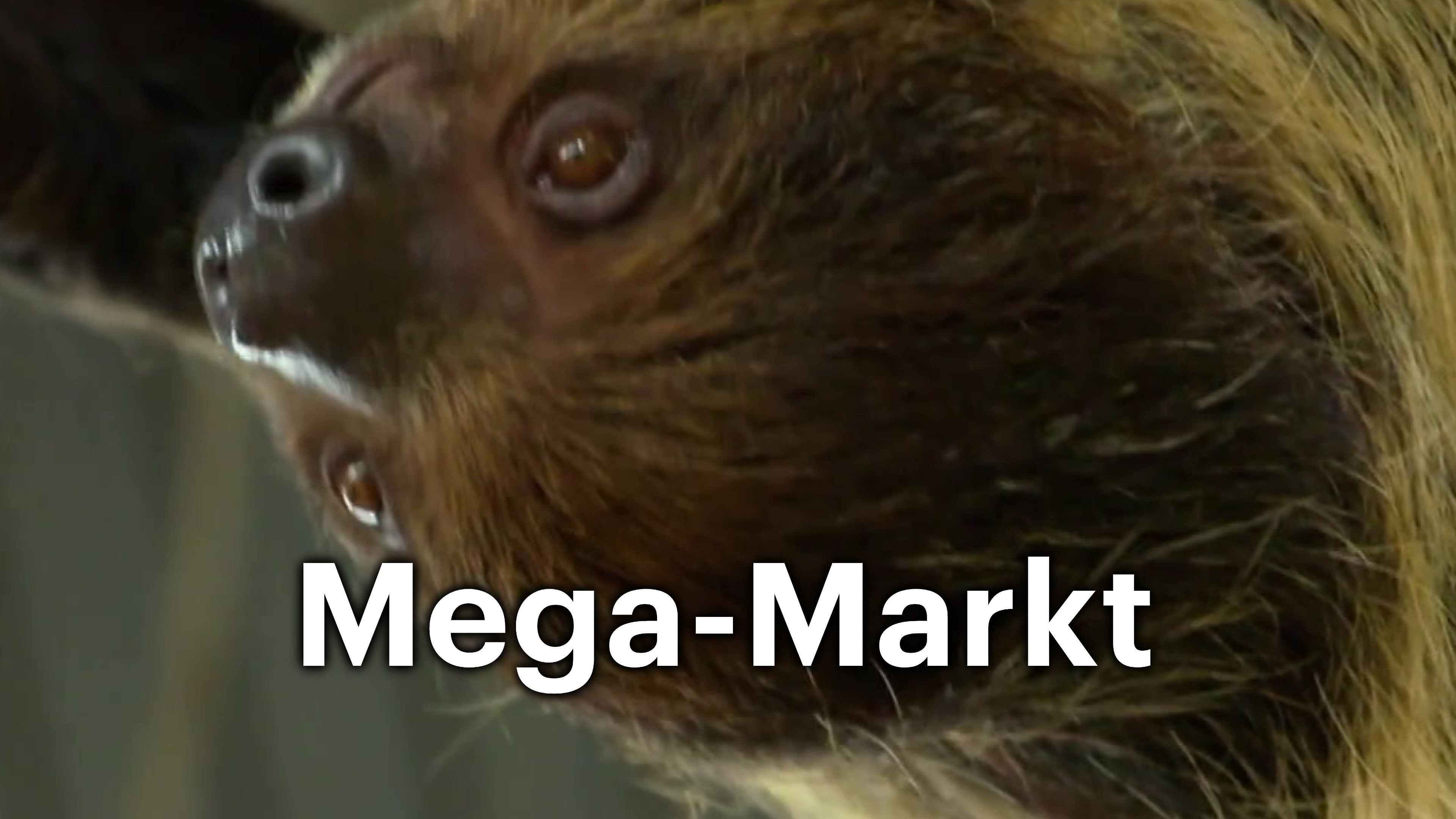 Mega-Markt