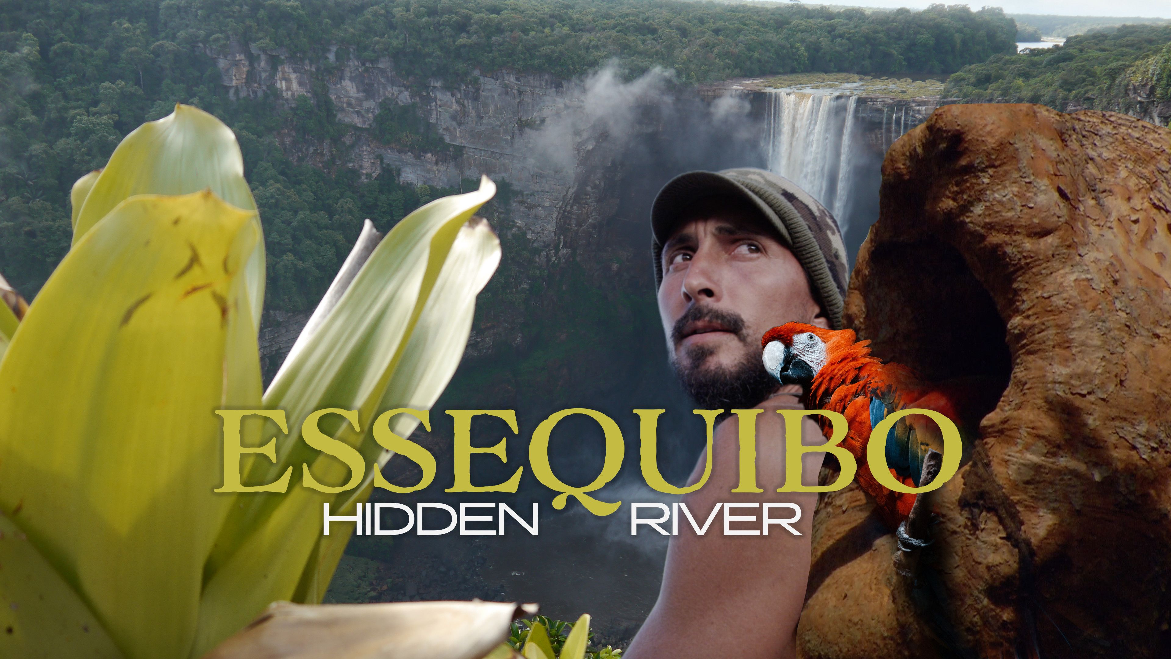 Essequibo - Hidden River