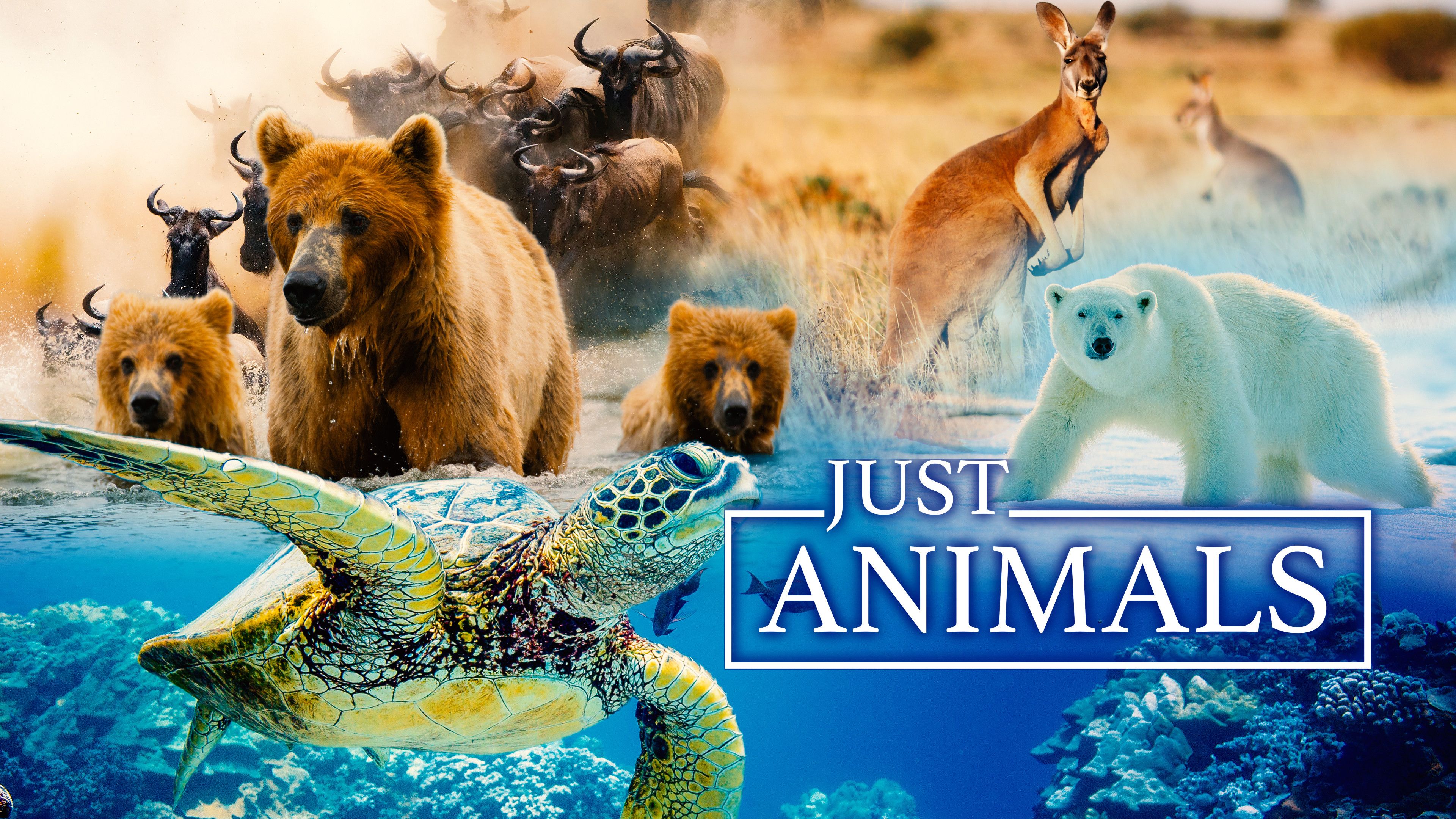 Just Animals (Season 1)