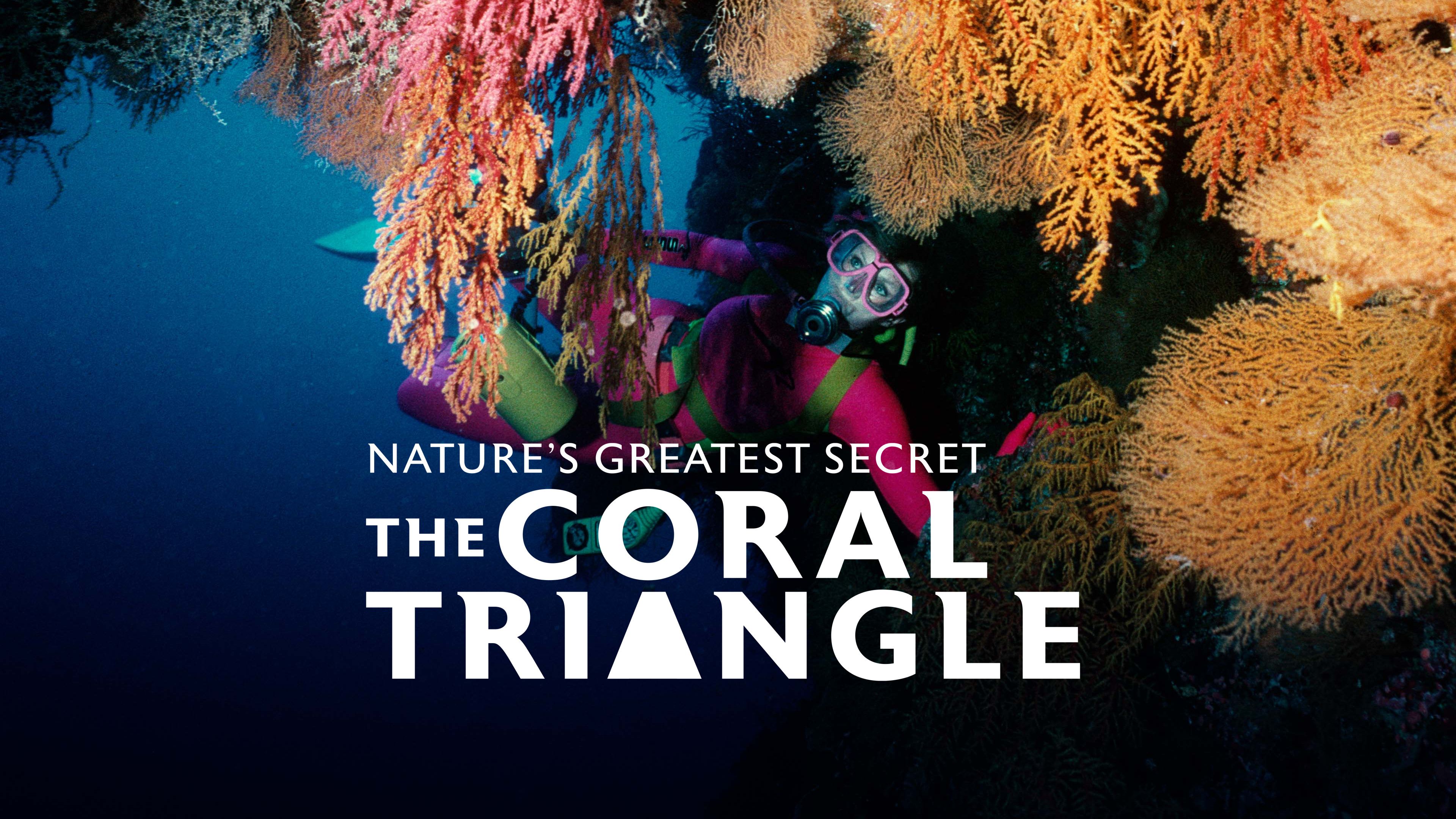 Nature's Greatest Secret - The Coral Triangle