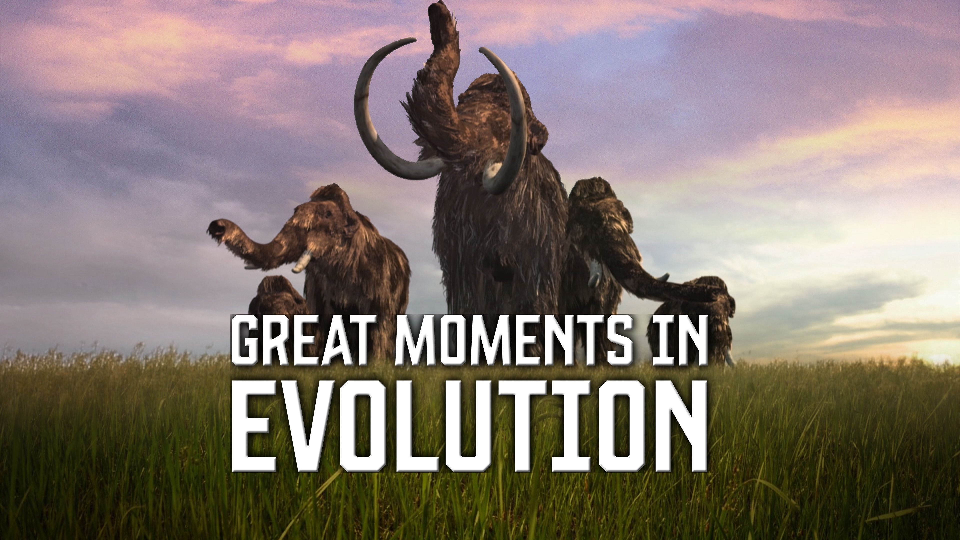 Great Moments in Evolution