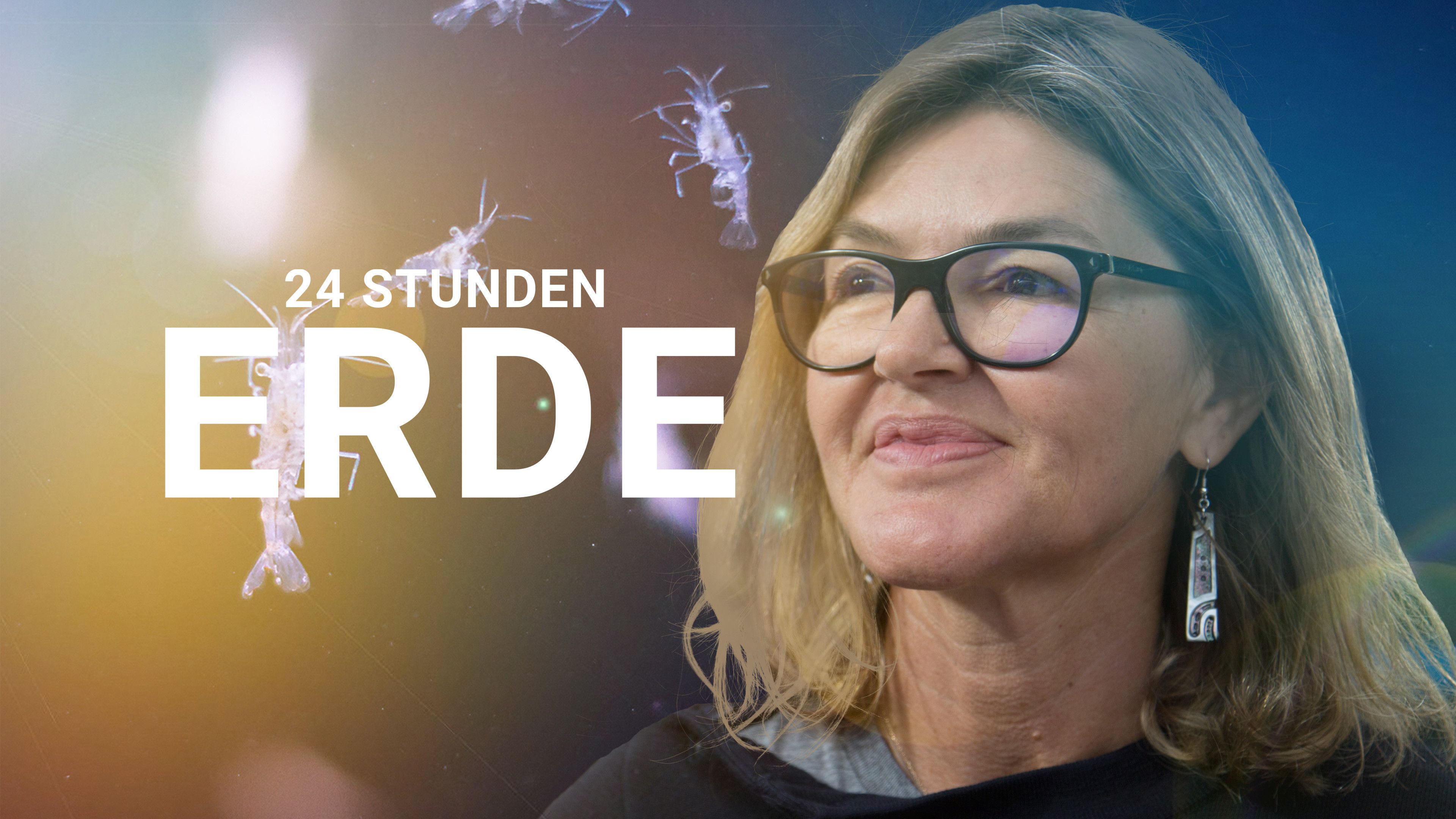 24 Stunden Erde